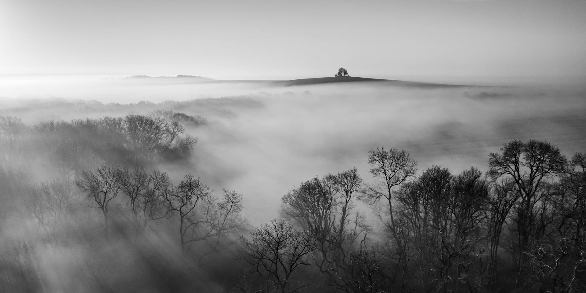 A temperature inversion buries a wooded valley beneath dense fog, leaving a lone clump of trees on a bare hilltop isolated against a pale winter sky. Bare deciduous canopies pierce the fog layer in the foreground, receding in tonal gradients toward the distant hill. Shot from low drone altitude above Abingdon-on-Thames at first light, the panoramic frame distils the scene to three horizontal bands: tree, fog, hill.