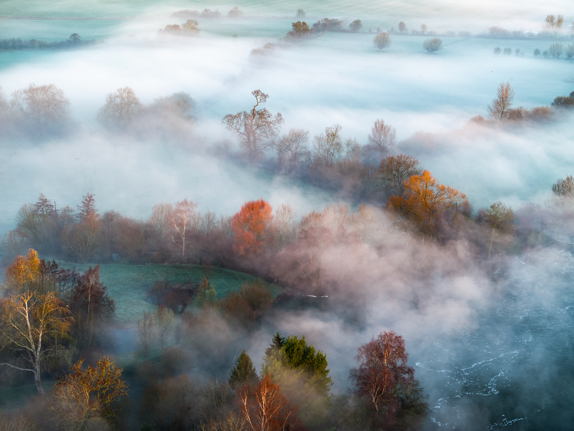 A temperature inversion settles across the Thames Valley near Wallingford, submerging hedgerows and fields beneath a continuous white plane while isolated trees in late autumn colour rise through the fog layer. Shot at low drone altitude, the diagonal ridge of emerging woodland divides the composition, giving structure to an otherwise formless sea of mist. The pale warmth catching copper and amber crowns against the cool tonal ground is what lifts this from record to image.