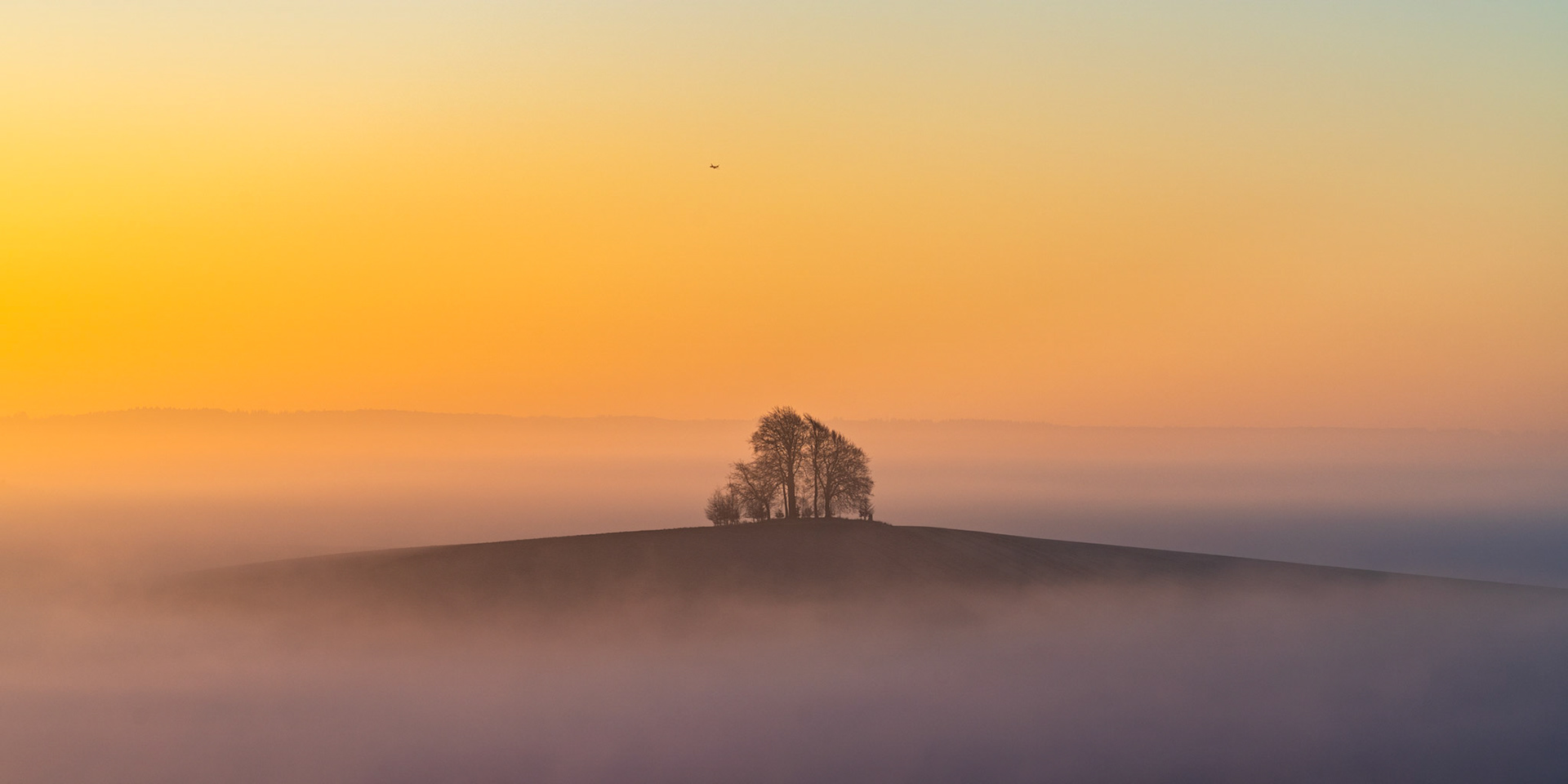 A small copse crowns Brightwell Barrow, one of the higher points near the Wittenham Clumps in Oxfordshire, breaking clear of a temperature inversion that blankets the valley below. The predawn palette shifts from cool lavender at ground level through warm amber at the horizon, compressing the tonal range into a near-abstract arrangement of silhouette and atmosphere. A distant aircraft punctuates the open sky, adding scale without distraction.