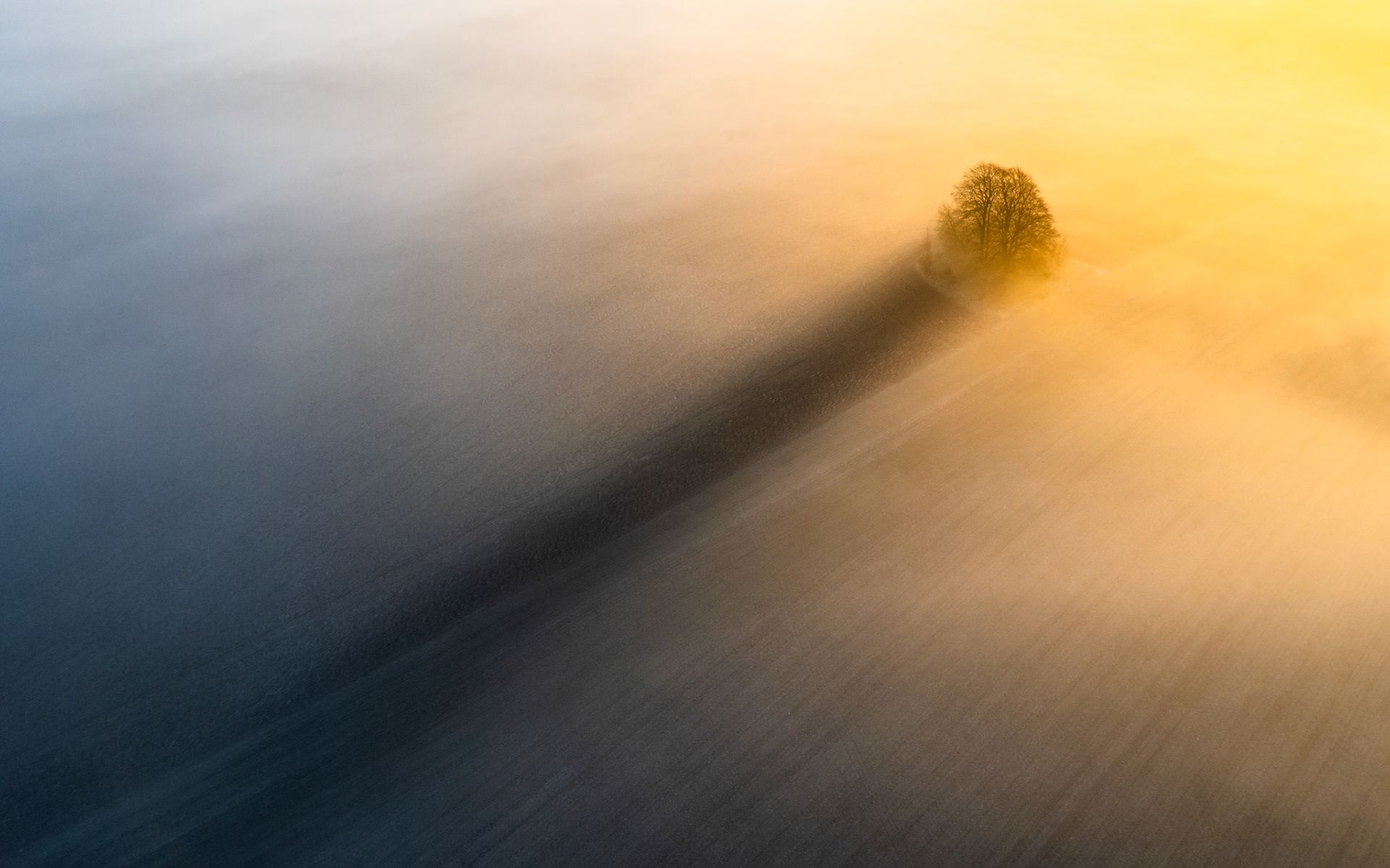 As the sun rose over the horizon, it cast magical warm light through the mist in this Oxfordshire scene, casting a long shadow through this small group of trees.