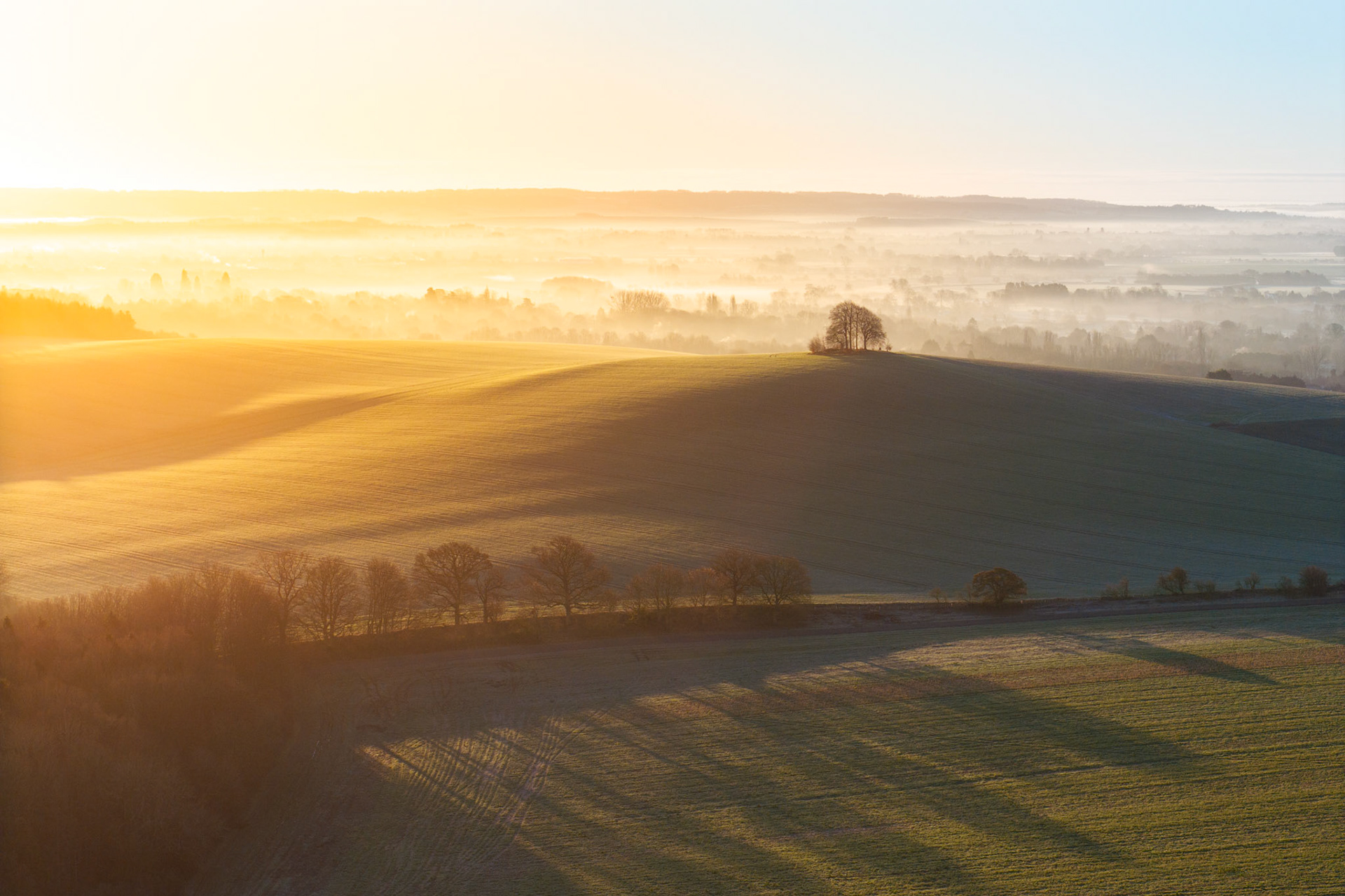 Low winter sun rakes across ploughed downland at Brightwell Barrow, near the Wittenham Clumps in Oxfordshire, casting long tree shadows across frost-touched fields while a temperature inversion buries the Thames Valley under a still white sea. A small copse on the hill crest holds the middle ground against the dissolving distance. Captured from altitude at first light, the image turns agricultural geometry into something closer to abstraction.
