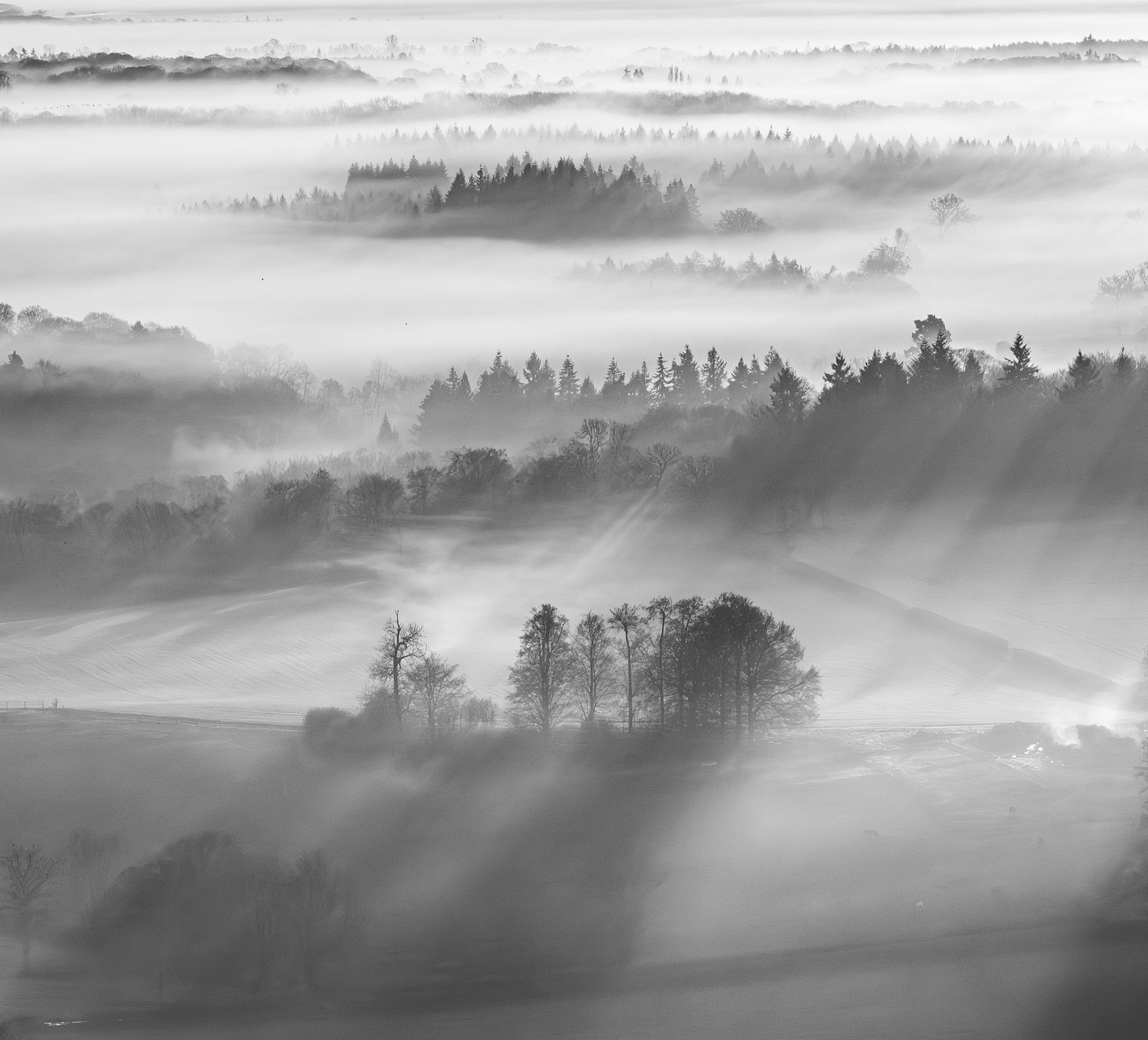 A temperature inversion fills the Thames Valley lowlands with layered fog, isolating copses and conifer ridgelines as dark silhouettes against luminous white. Shot from elevation above Henley-on-Thames in late January, the compression of a long focal length stacks the receding planes into near-abstract bands of tone. A church spire emerges faintly at mid-distance, the sole human measure in an otherwise elemental scene.