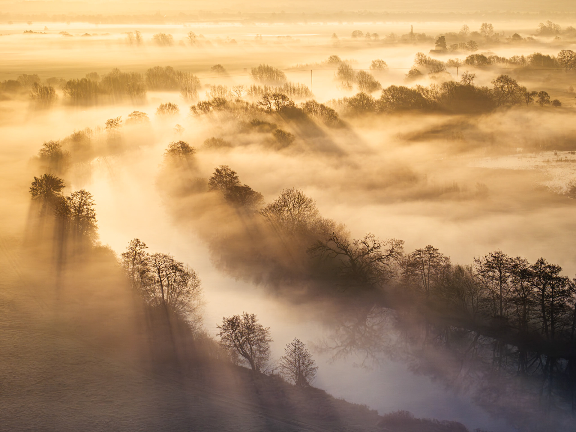A temperature inversion fills the Thames Valley near Wallingford at dawn, submerging the hedgerows and field boundaries beneath a continuous fog layer. Bare-limbed trees puncture the surface in loose diagonal lines, casting crepuscular rays that radiate across the mist in warm, directional light. The elevated drone perspective compresses the receding treelines into layered planes, rendering the familiar agricultural landscape briefly unrecognisable.