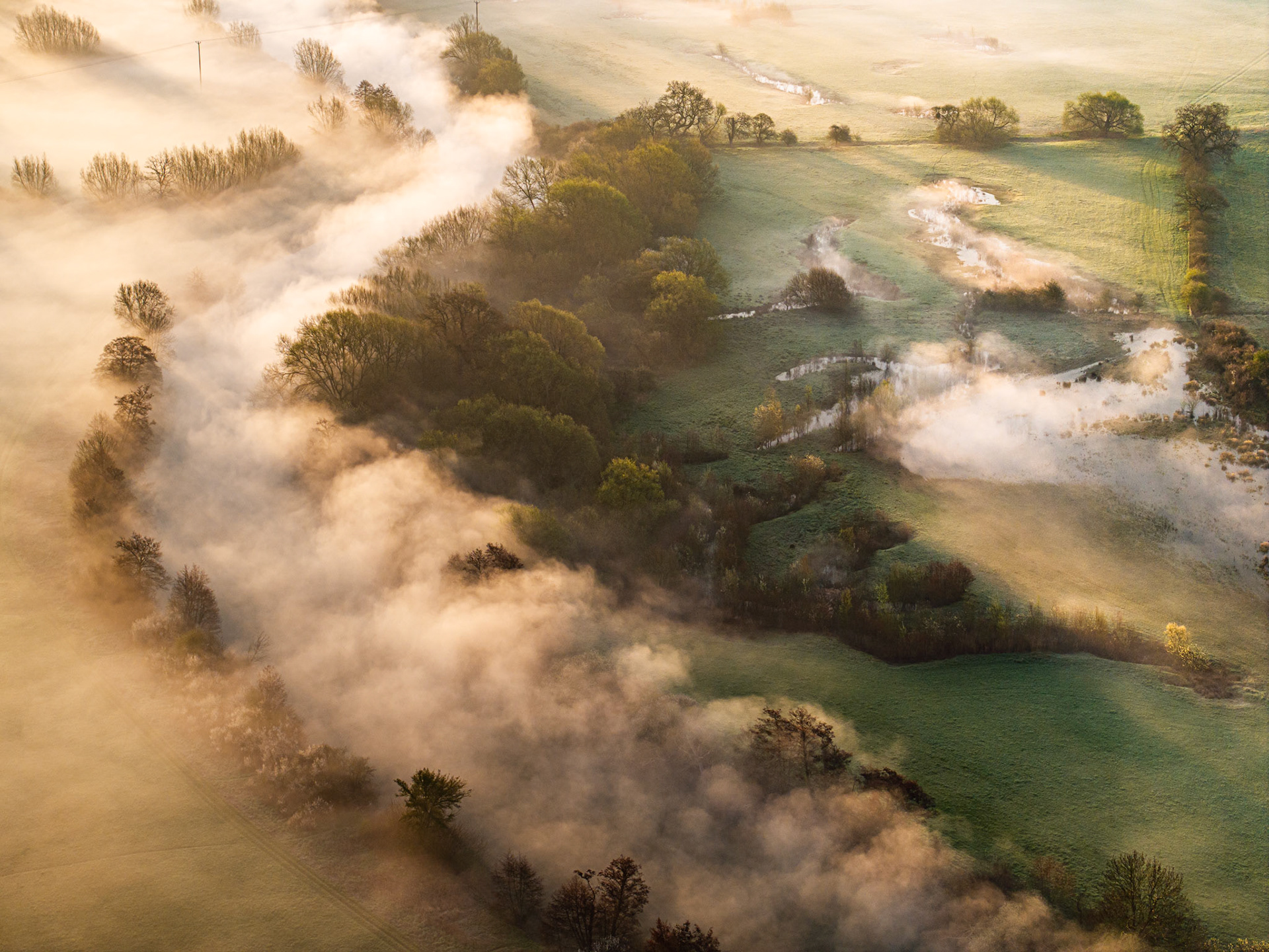 Low inversion fog pools along a chalk stream valley near Wallingford, Oxfordshire, at the spring equinox. Warm early-afternoon light catches the mist breaking from the riparian tree-line, revealing flooded meadows and a braided watercourse beneath. The aerial vantage abstracts the familiar Thames floodplain into something close to aerial geology.