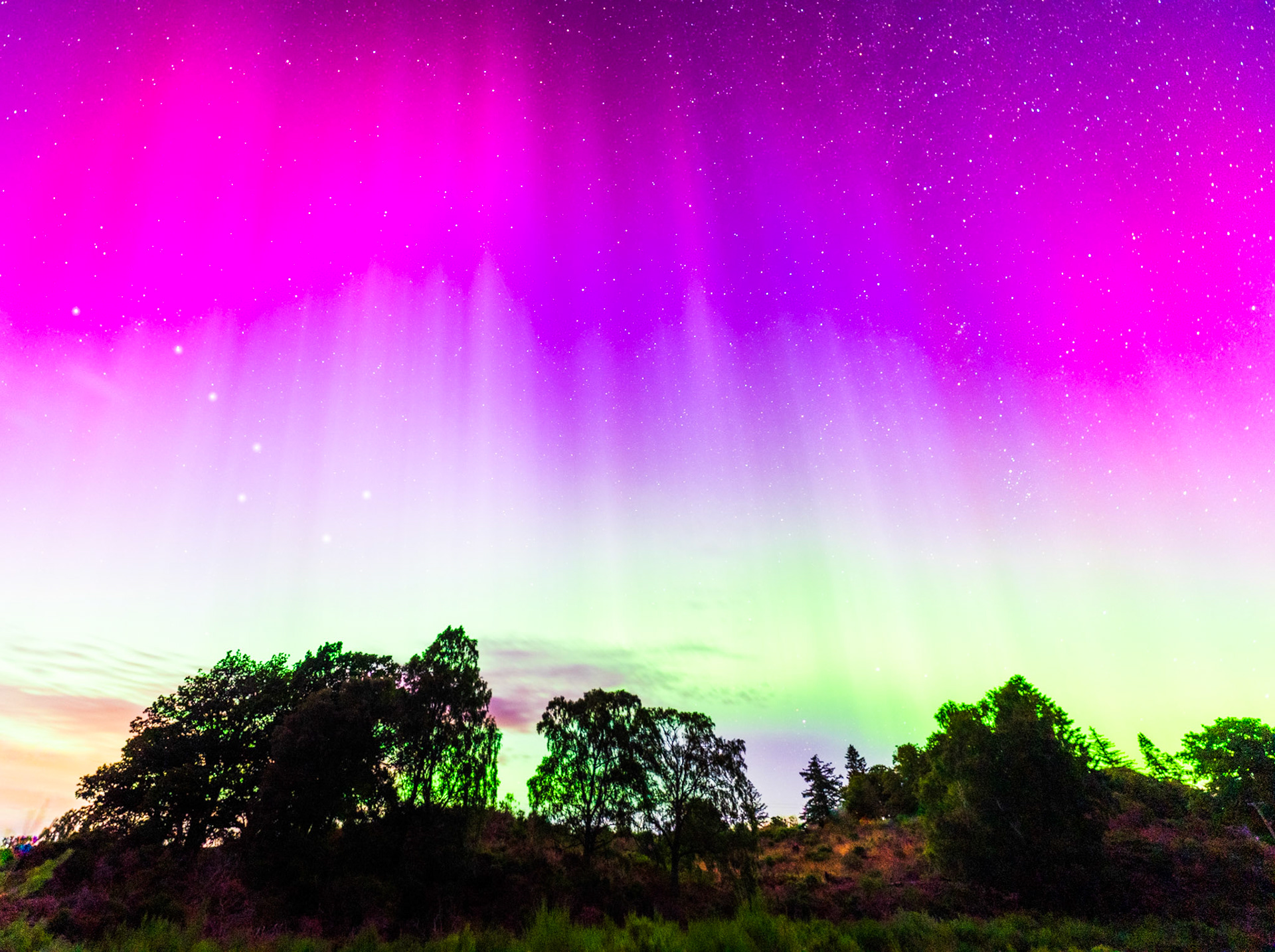 The bright aurora borealis with the Plough constellation visible from the Cairngorms National Park (Loch Pityoulish), Scotland