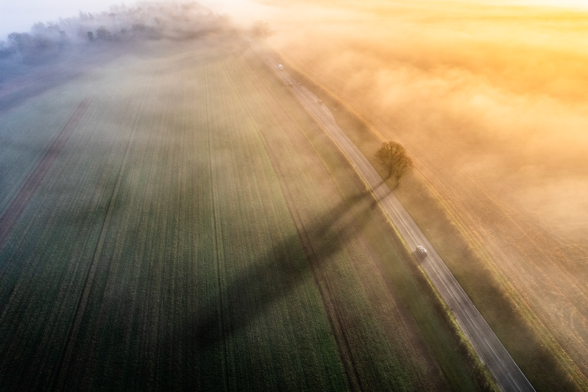 A solitary roadside tree casts an elongated shadow across frost-edged winter arable fields near Henley-on-Thames, its silhouette dramatised by low December sun breaking through advection fog. The diagonal of the road divides warm golden light from blue-grey shadow, while passing cars reduce to white specks within the dissolving murk. The aerial perspective abstracts the landscape into planes of tone and texture.