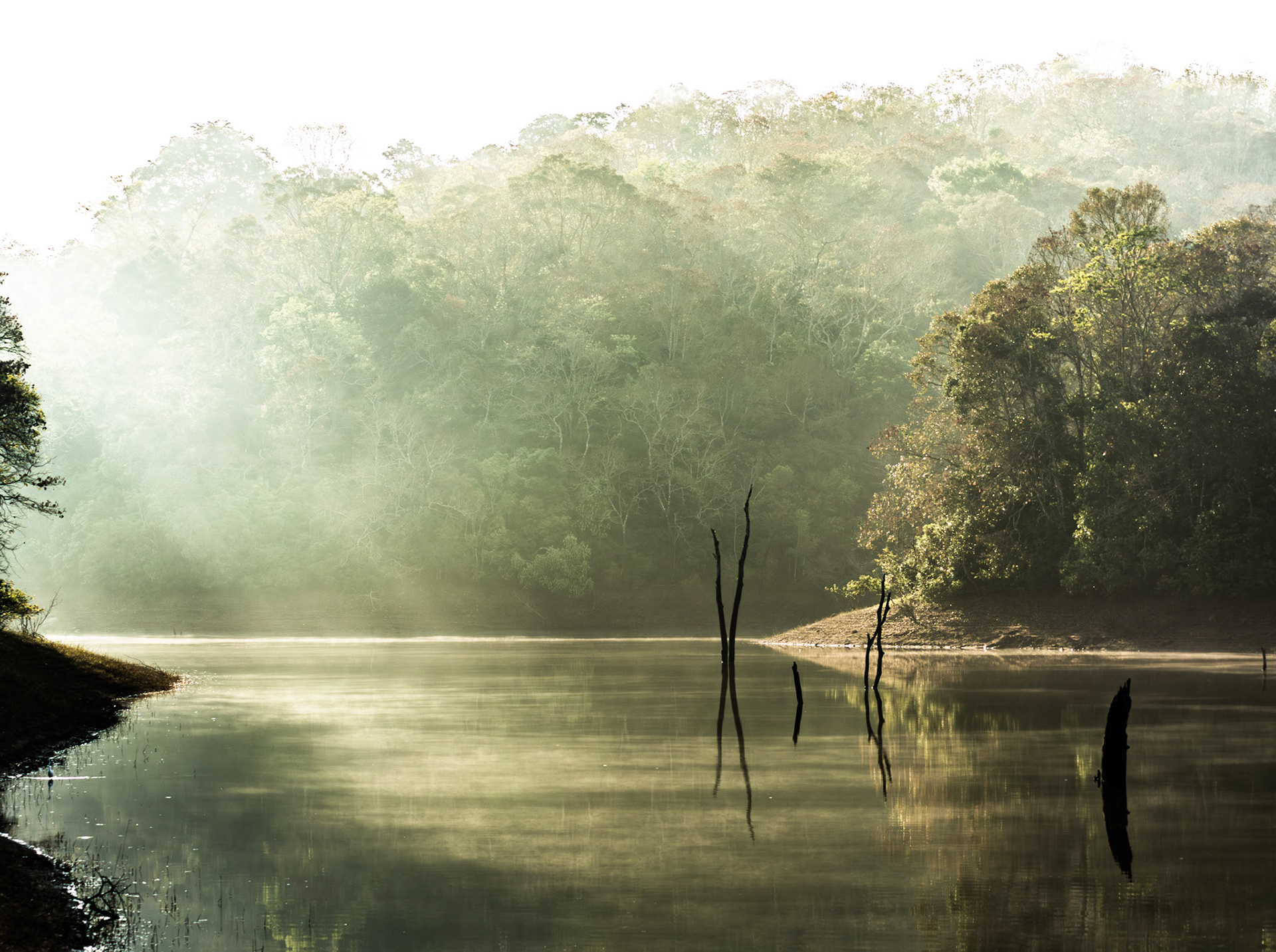 Sun beams visible over the calm Periyar Tiger Reserve reservoir forests. Kerala, India