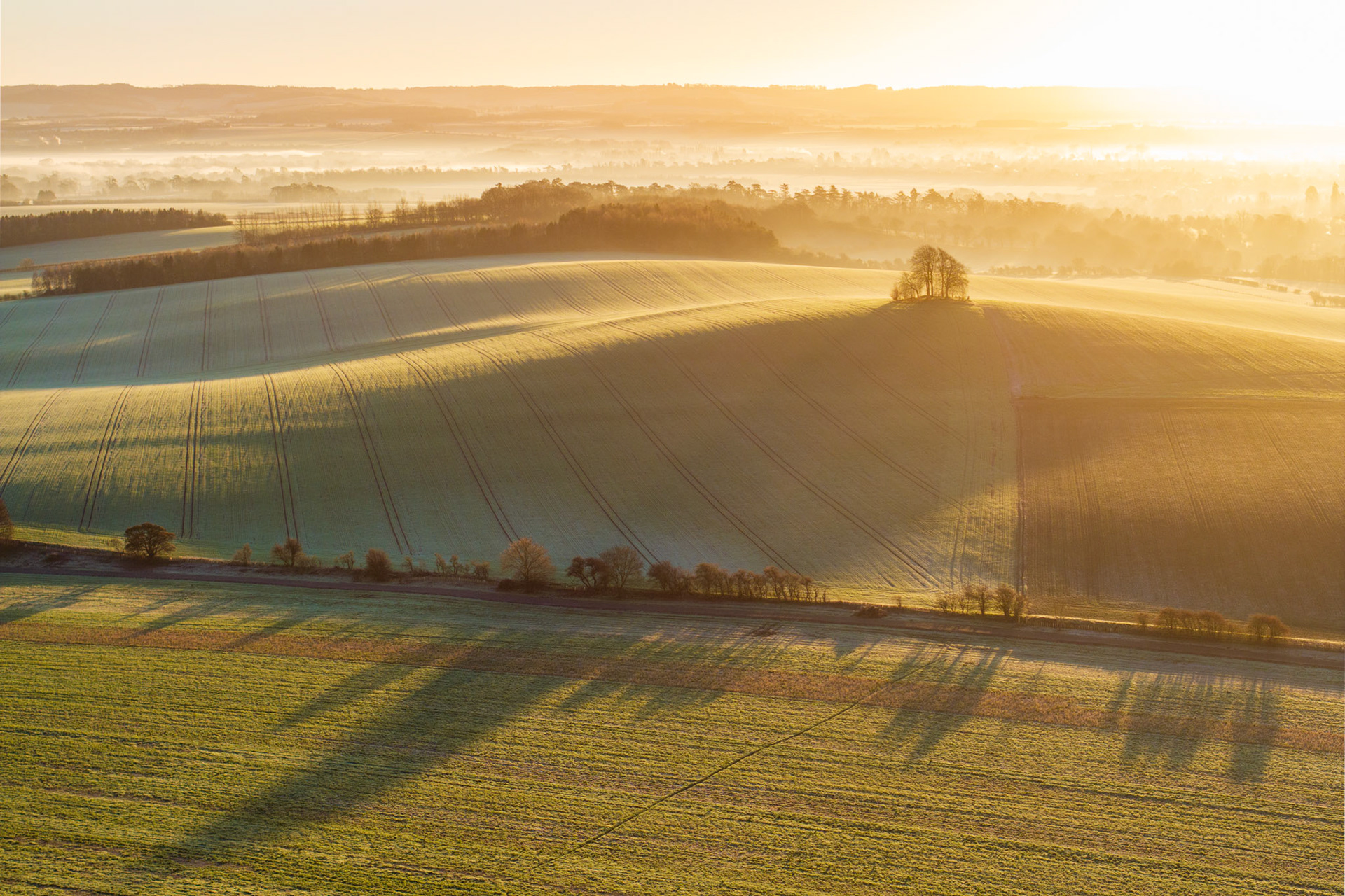 Low winter sun rakes across frost-covered arable downland at Brightwell Barrow, near the Wittenham Clumps in Oxfordshire, casting long tree shadows across the foreground field while ground mist pools in the valley beyond. The copse crowning the barrow anchors the composition against receding layers of fog and warm backlight. Crop-tramlines radiating across the hillside add unexpected graphic structure to an otherwise pastoral scene.