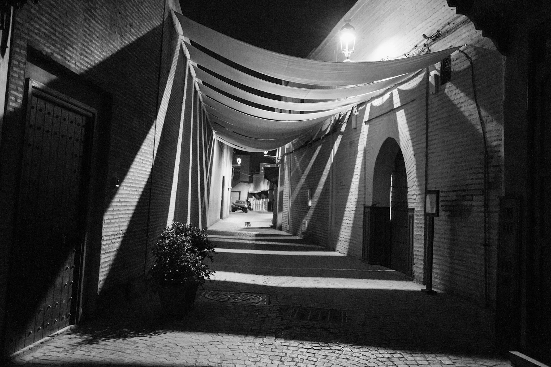 Night on the Streets of Marrakech, Morocco (Awarded)