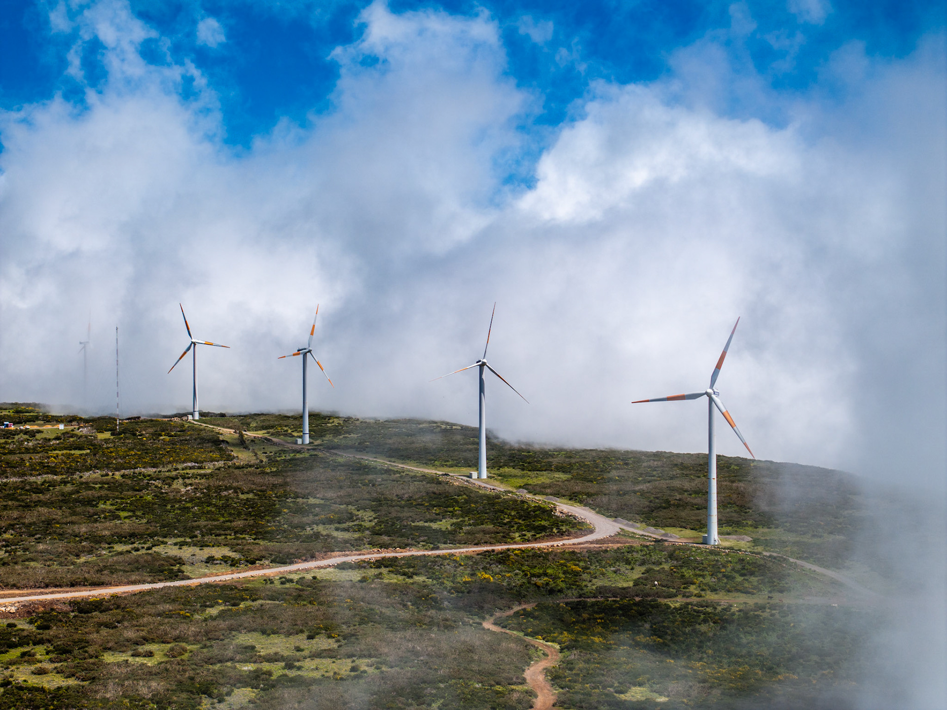 A row of wind turbines lines a ridge on Madeira's western highlands as orographic cloud rolls through the hillside, partially obscuring the turbines in soft mist. The winding service road below anchors the composition and gives scale. Captured in late spring from a drone position level with the cloud layer.