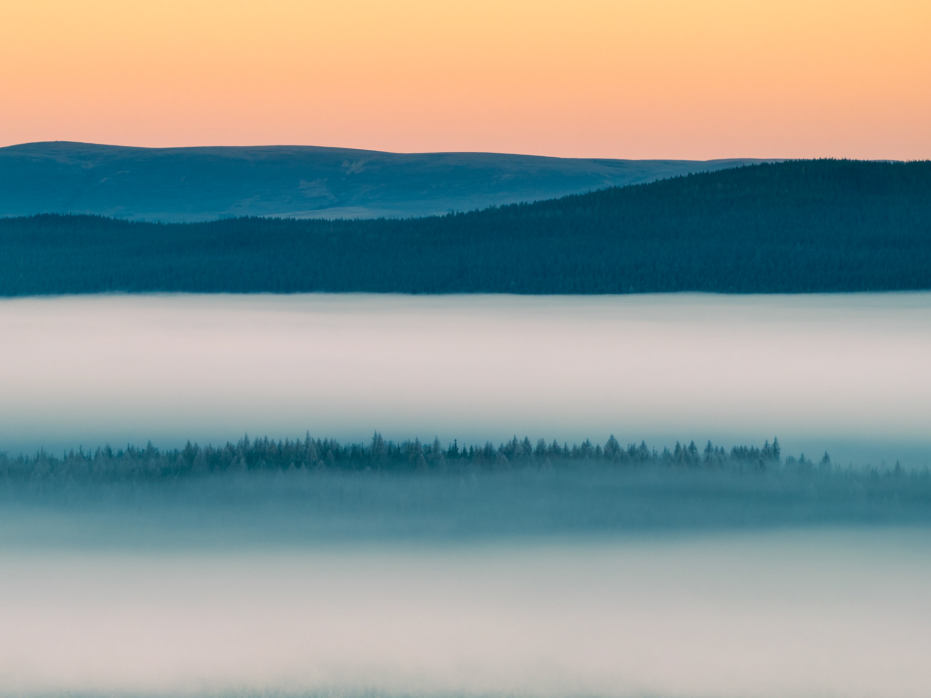 A temperature inversion fills the Strathspey valley with dense radiation fog at dawn on Christmas morning, reducing the conifer forest to a single suspended dark band between tiers of white mist. Shot from elevation above Nethy Bridge in the Cairngorms, the image resolves into four horizontal planes — fog, treeline, forested ridge, and a peach afterglow sky — with near-perfect tonal separation between them. The restraint of the composition and the stillness of the light give the scene an almost monochromatic quality despite the colour present.