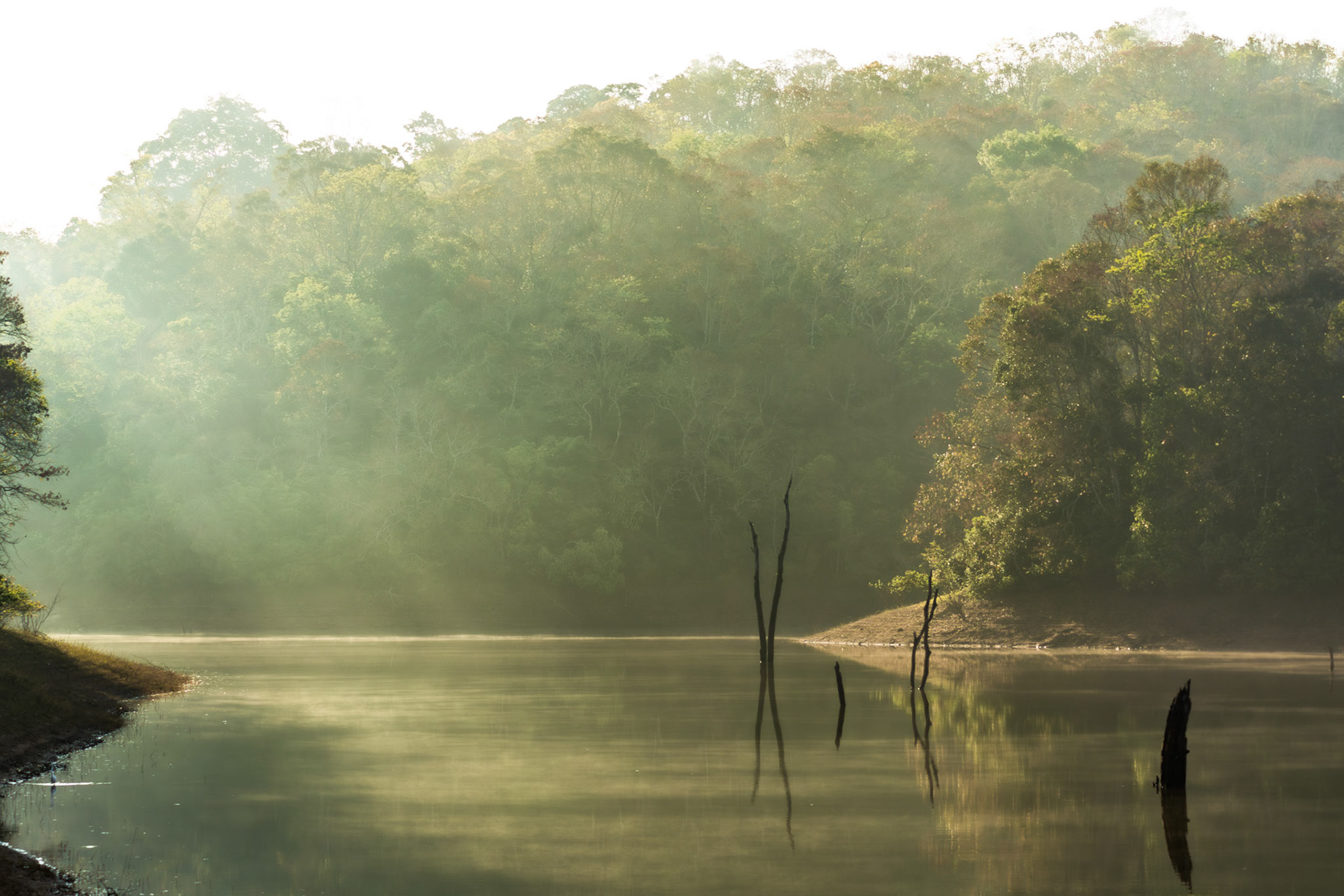 Sun beams visible over the calm Periyar Tiger Reserve reservoir forests. Kerala, India