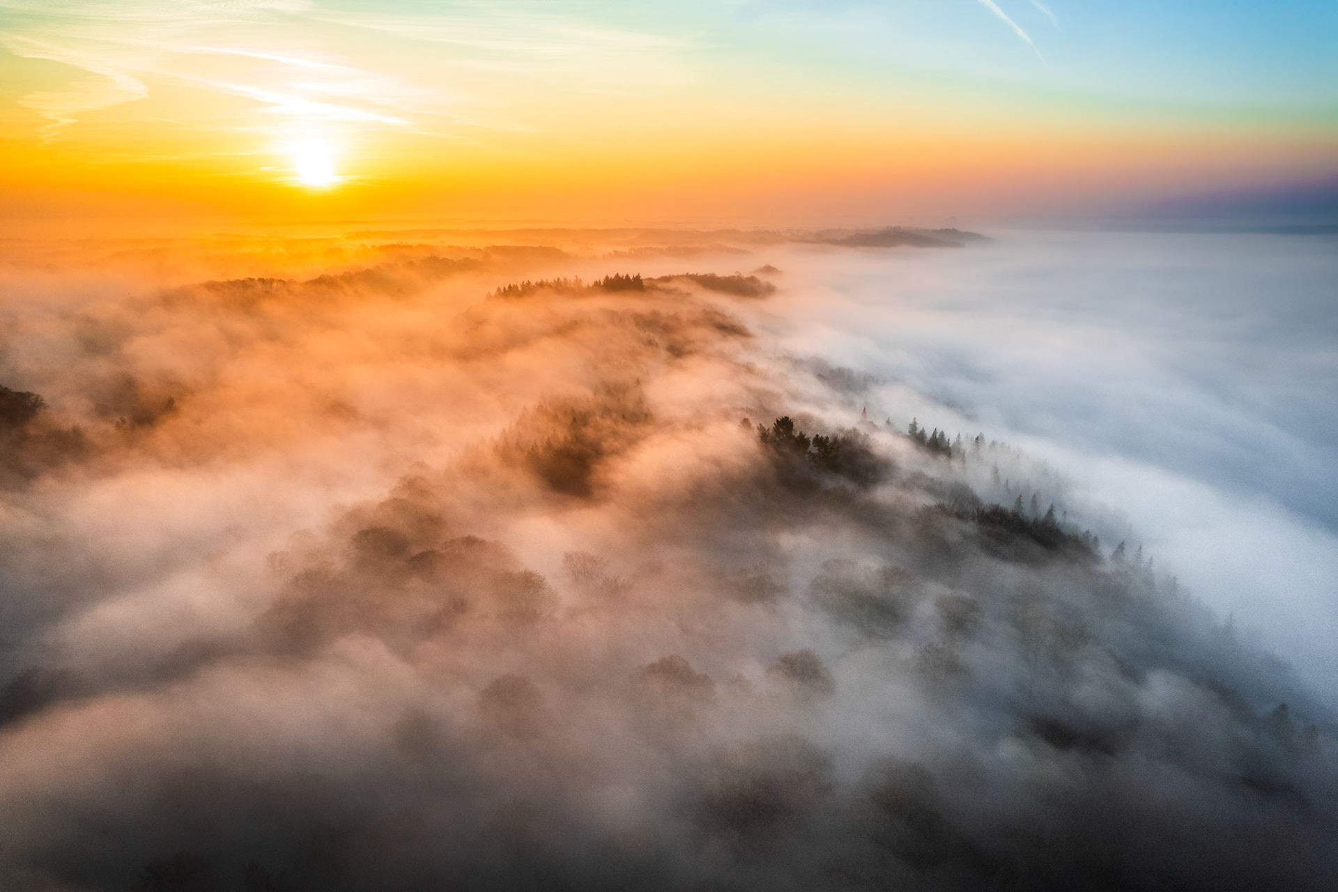 A temperature inversion buries the Thames Valley beneath a continuous fog layer at first light, leaving wooded ridgelines as isolated islands above the white. Warm sunrise light rakes across the mist from the west-northwest, splitting the frame between amber and a cool blue residue of night sky to the east. The compression of aerial perspective draws the fog into a near-abstract surface interrupted only by the dark crowns of emergent trees.