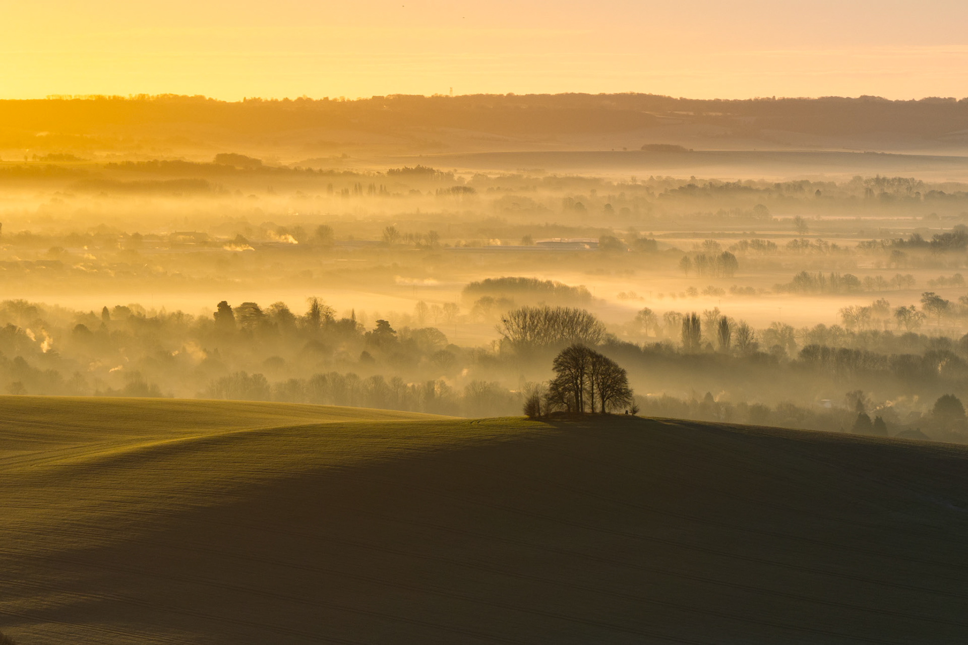A small copse crowns a dark hilltop above the fog-filled Vale of White Horse near Abingdon, January dawn. Ground-hugging mist has pooled in distinct horizontal layers between bare tree lines, compressed by temperature inversion, while a pale golden sky bleeds light across the entire scene. The lone cluster of winter trees acts as a pivot between the shadowed foreground field and the luminous, stratified valley beyond.