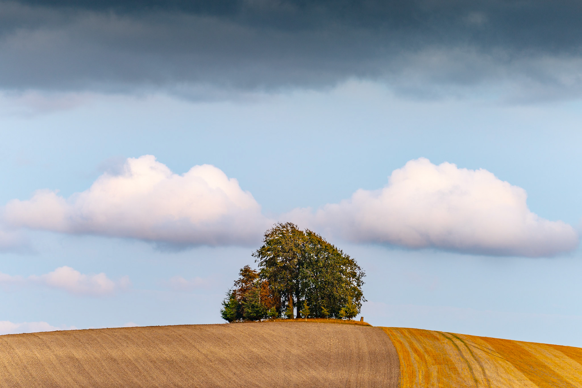 A tight cluster of broadleaved trees crowns a bare arable hill as storm cloud builds above and late afternoon light catches the ploughed soil below. The symmetry of two flanking cumulus formations and the dark band at the frame's top create a quiet tension around the solitary stand. Tractor lines in the foreground field draw the eye upward to the trees against the clearing sky.