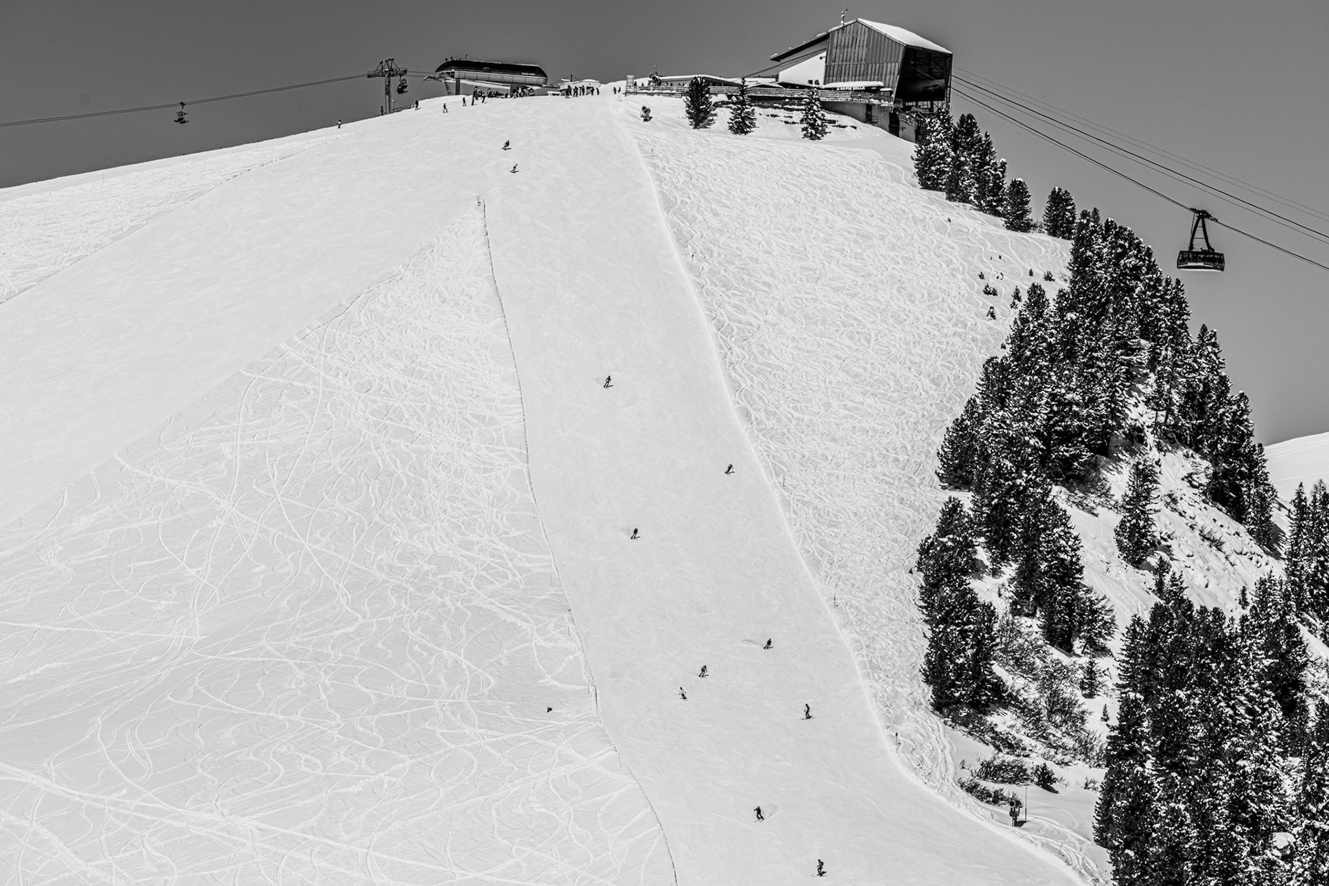 Skiers trace narrow lines down a broad alpine piste, reduced to near-abstract marks against a vast field of compressed snow. A stand of conifers and a summit cable-car station anchor the upper right, providing scale against the otherwise featureless slope. The monochrome conversion flattens atmosphere without adding it.