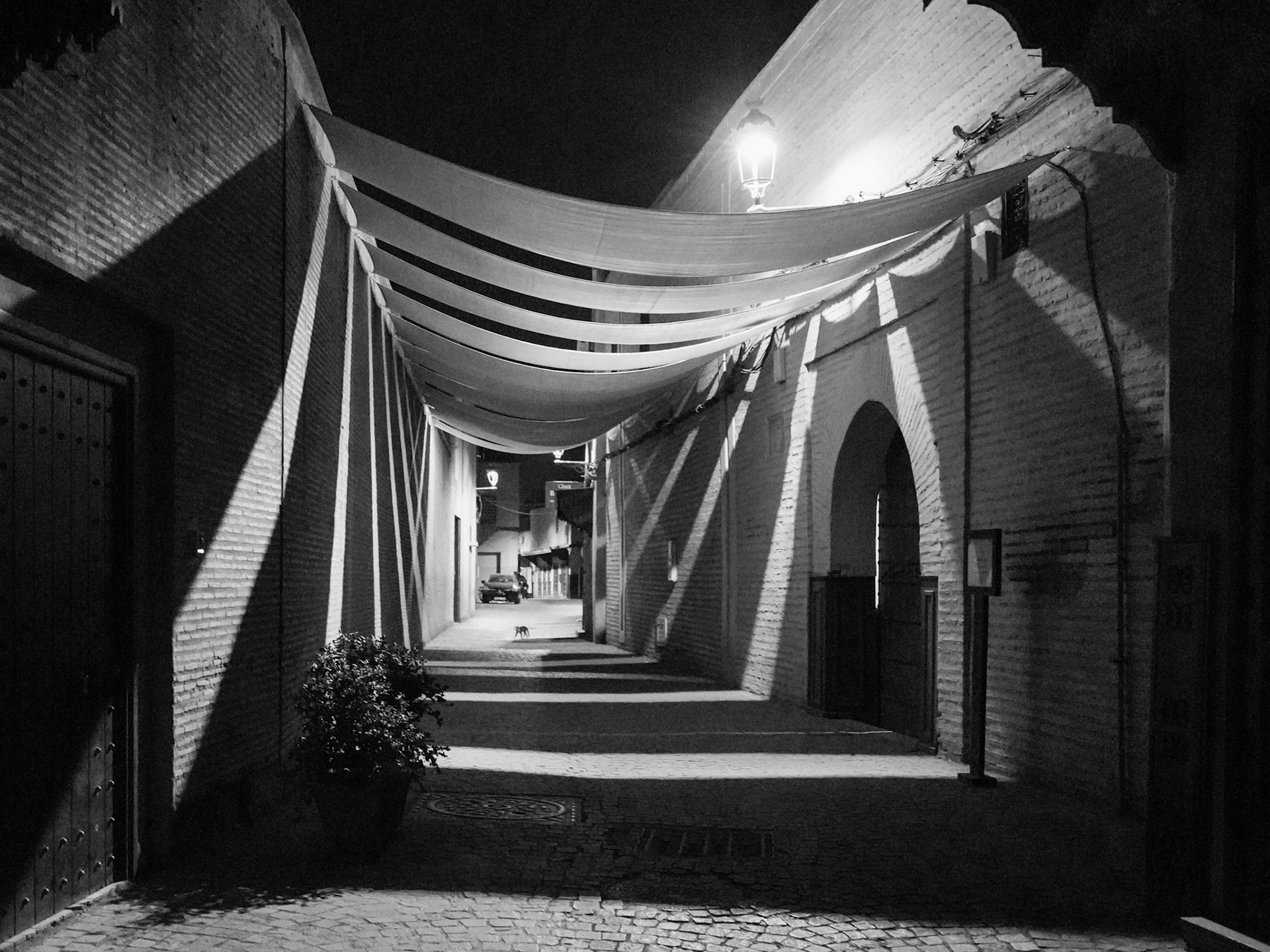 Night on the Streets of Marrakech, Morocco (Awarded)