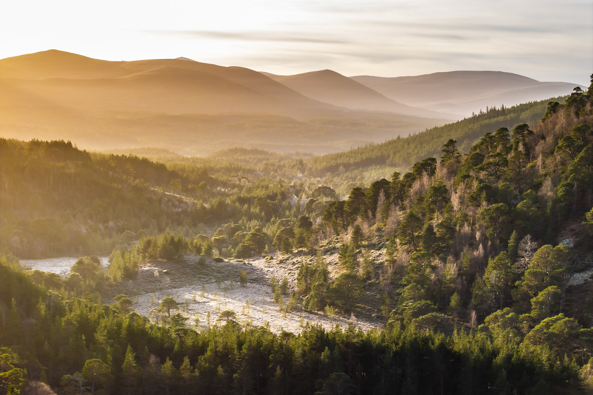 Low winter sun rakes across the upper Dee valley near Aviemore, illuminating a braided river channel threading through ancient Caledonian pinewoods. Receding ridges of the Cairngorms dissolve into atmospheric haze, the warm sidelight separating each plane of the landscape in tonal layers. The bare birch mixed through the Scots pine canopy confirms the depth of the season.