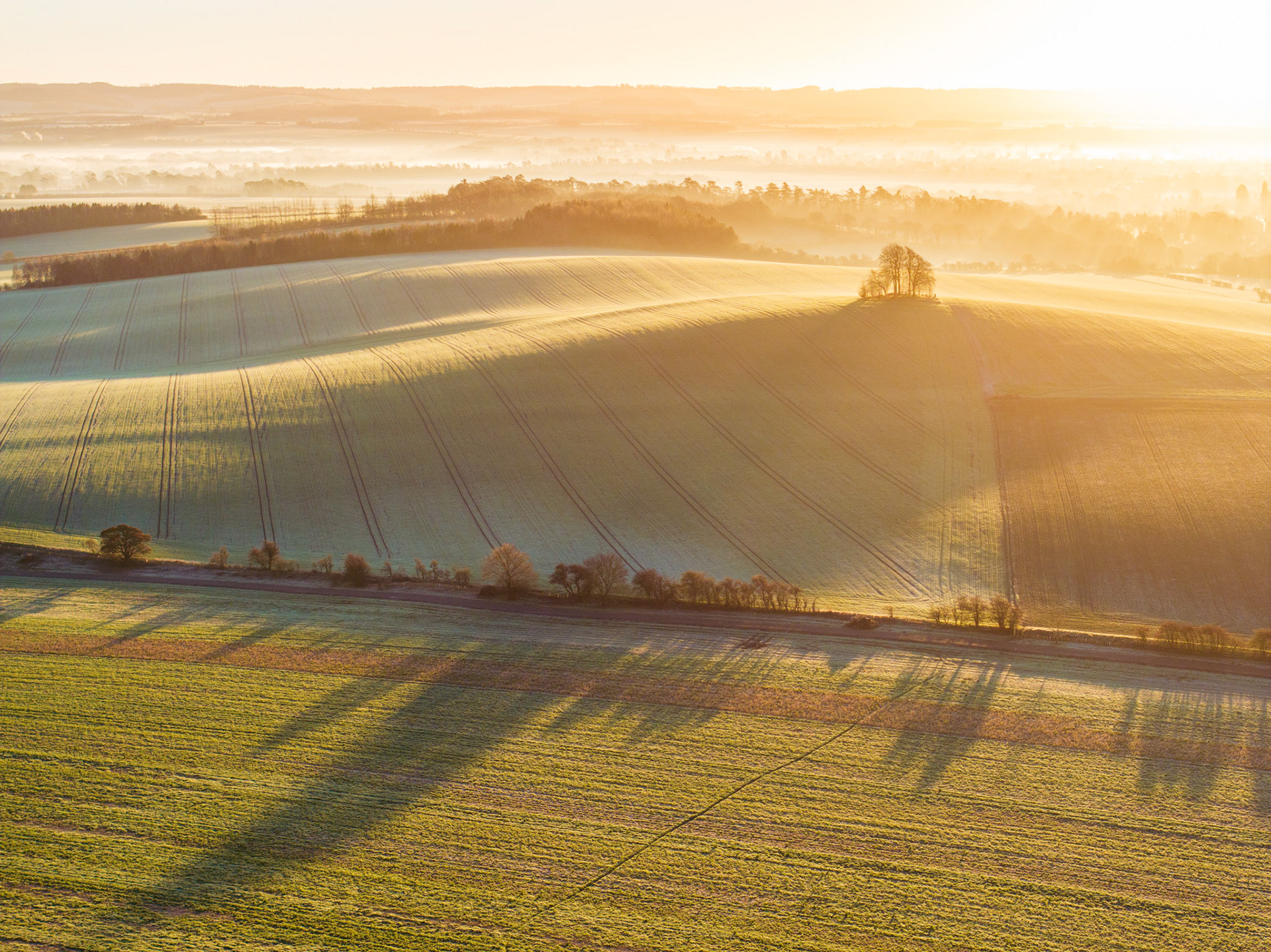 Brightwell Barrow, the low chalk hill near the Wittenham Clumps in Oxfordshire, carries its crown of trees through a frost-covered January dawn in the Vale of White Horse. Ground mist pools in the valley floor beyond, softening the middle distance into successive planes of amber and grey. Long tree shadows rake across the foreground fields, their geometry underscored by tractor lines in the frozen turf.