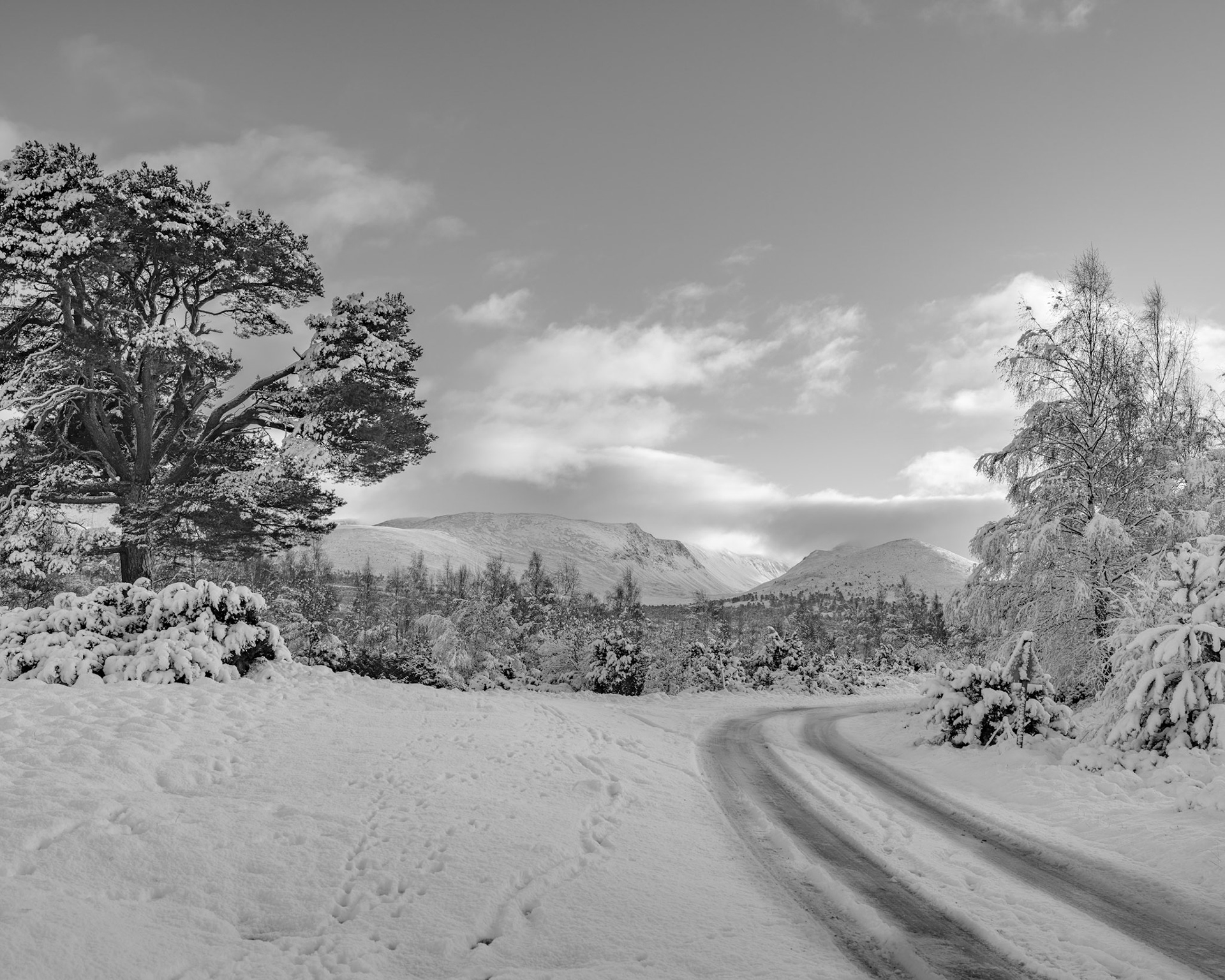 Looking towards the Cairngorm mountains over the vast remnants of the Caledonian Forest at sunset. Covered in snow in this winter scene. Scotland.