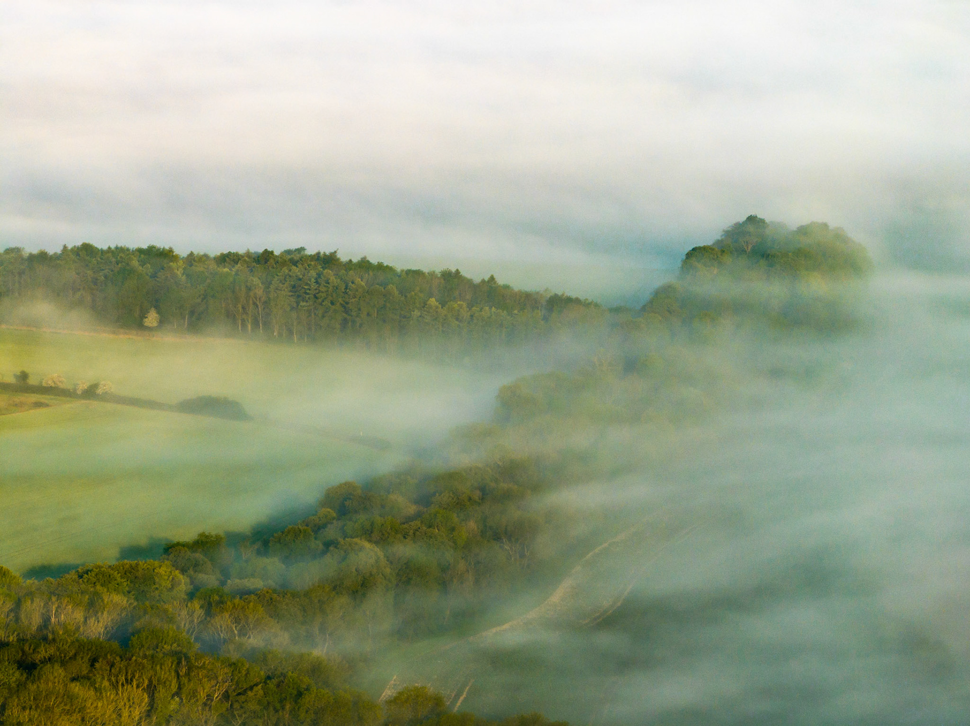 A temperature inversion settles across a wooded valley in the Chilterns, south of Henley-on-Thames, submerging the valley floor in a shallow sea of mist while conifer plantations and deciduous canopies emerge above it. The soft, diffuse morning light produces a restricted tonal palette of grey-green, lending the scene quiet depth without a strong focal anchor. Captured in early May, the full leaf canopy confirms the inversion as a spring phenomenon.