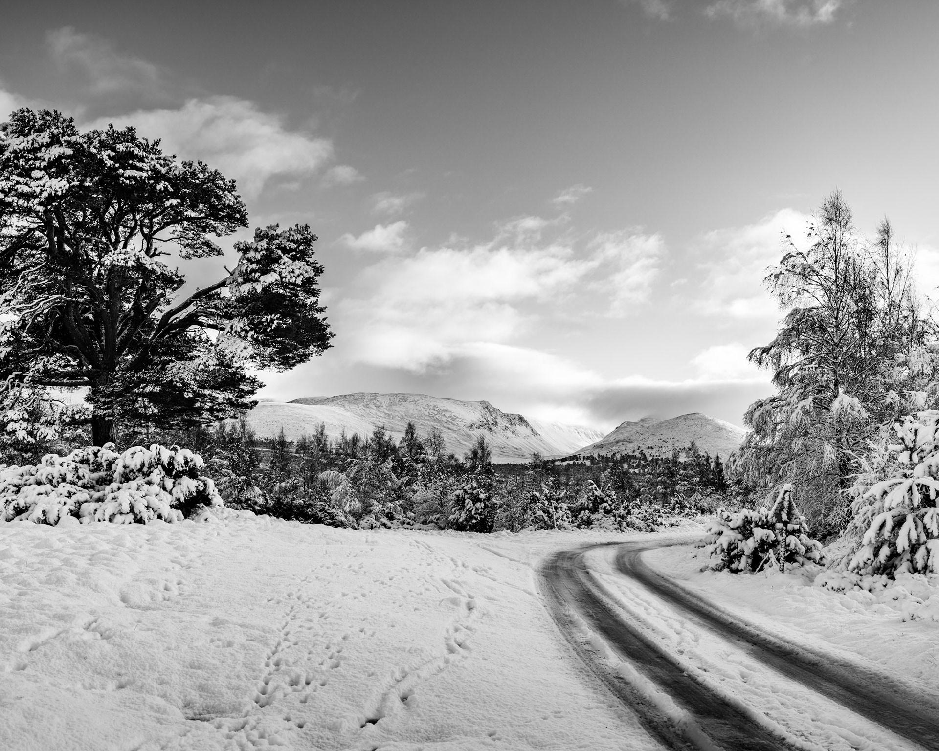 Looking towards the Cairngorm mountains over the vast remnants of the Caledonian Forest at sunset. Covered in snow in this winter scene. Scotland.