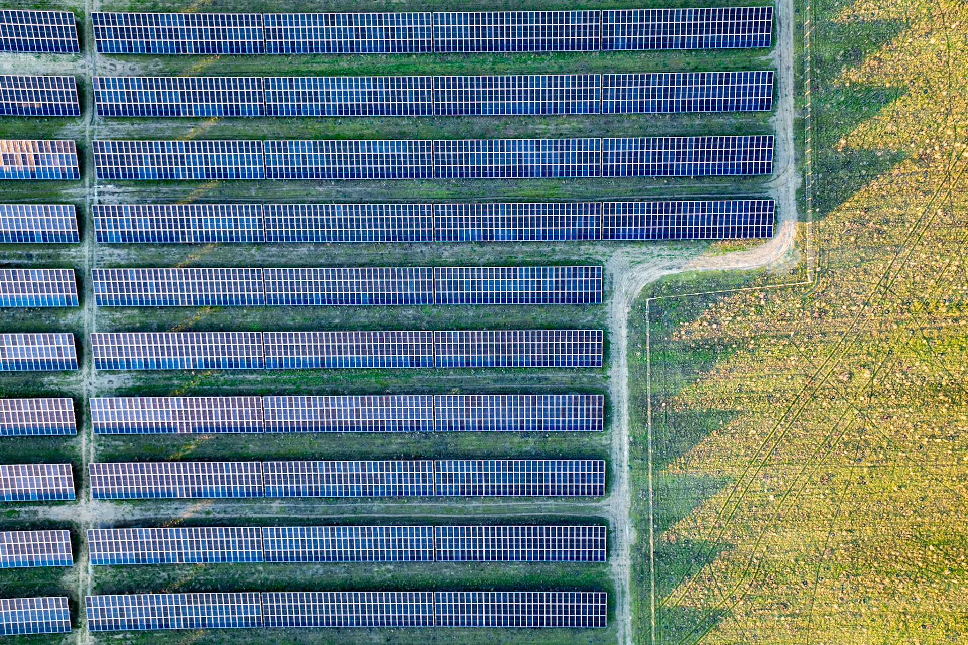 Rows of photovoltaic panels stretch across flat agricultural land near Oxford, their deep blue regularity interrupted at the right edge by an adjacent crop field still carrying the pale residue of winter. The T-junction of access tracks provides the only compositional break in an otherwise relentless grid. The image reads as industrial pattern rather than landscape.