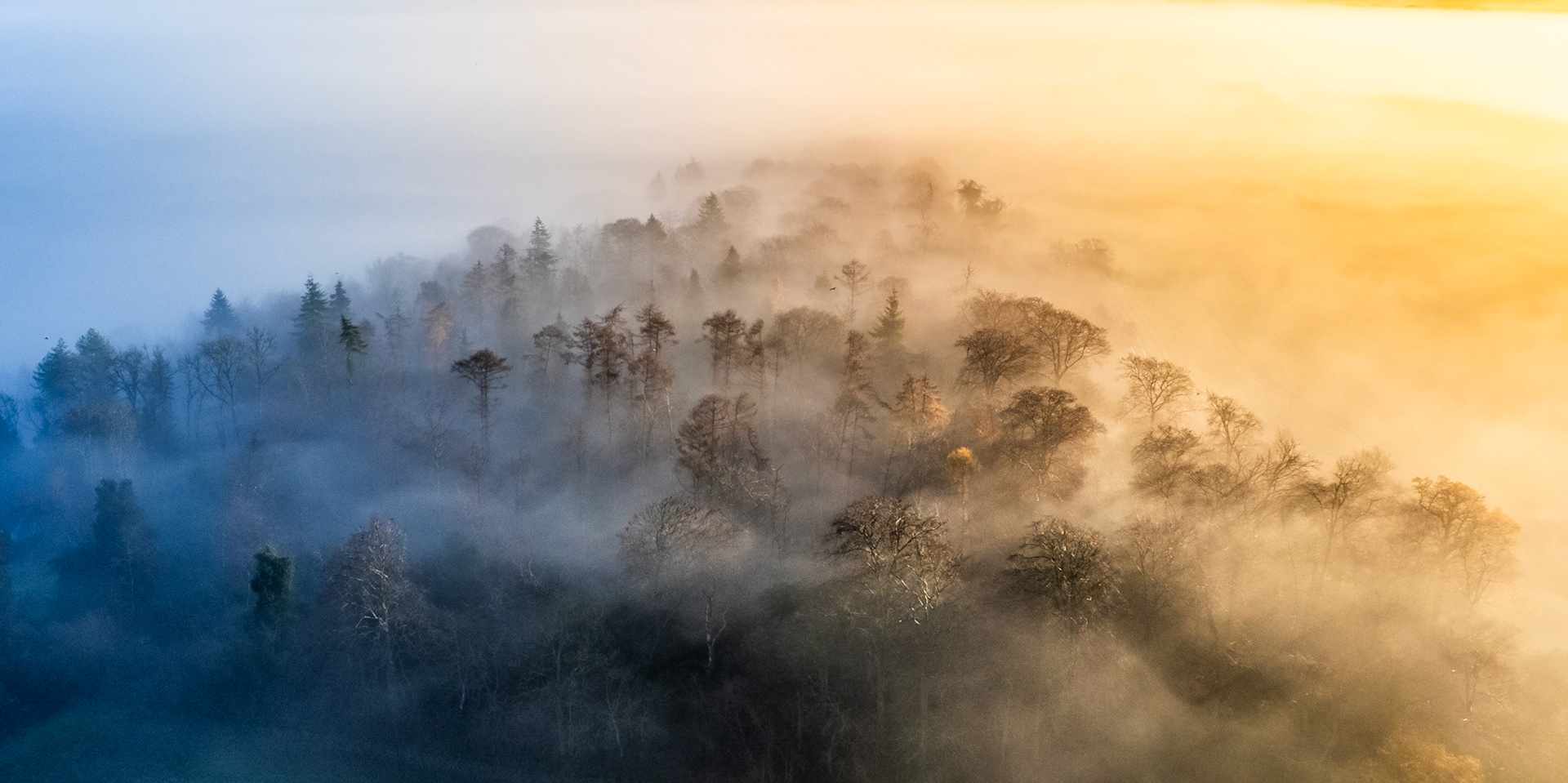 A wooded hillside near Henley-on-Thames emerges as an island above a valley fog inversion at dawn, the warm sunrise light bisecting the scene diagonally against cold blue shadow. The layered mist strips the landscape to silhouette and tone, reducing mixed broadleaf and conifer canopy to pure form. Captured from altitude, the composition turns a familiar Thames Valley hillside into something suspended and otherworldly.