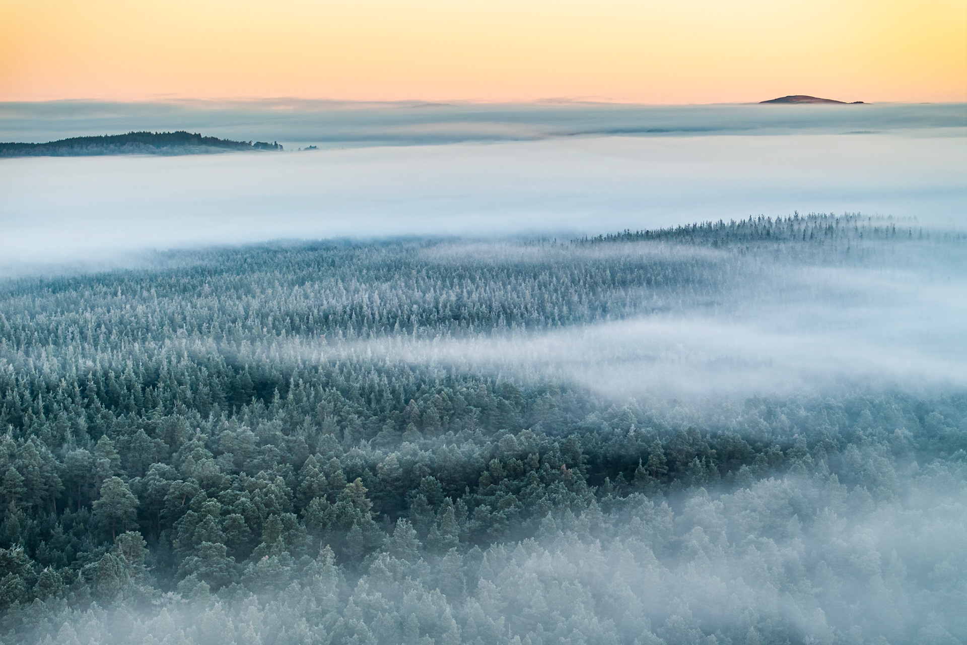 A temperature inversion buries the boreal forest around Nethy Bridge beneath rolling fog on a Christmas dawn, frost-whitened conifers emerging in successive ridges from the mist. The warm apricot horizon separates cloud sea from sky, with distant summits reduced to silhouette. The aerial vantage compresses the layers into a composition of quiet, almost graphical precision.