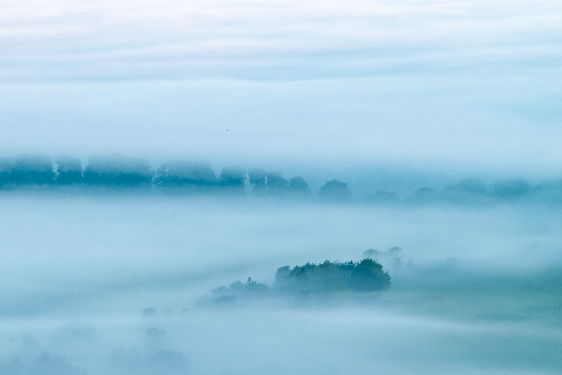 A temperature inversion settles over the Thames Valley near Henley, reducing the lowland to layered planes of pale blue fog. Isolated tree canopies emerge as dark islands, the furthest treeline fading almost entirely into the overcast sky. The graduated recession of tones gives the scene an almost monochromatic, painterly quietness.