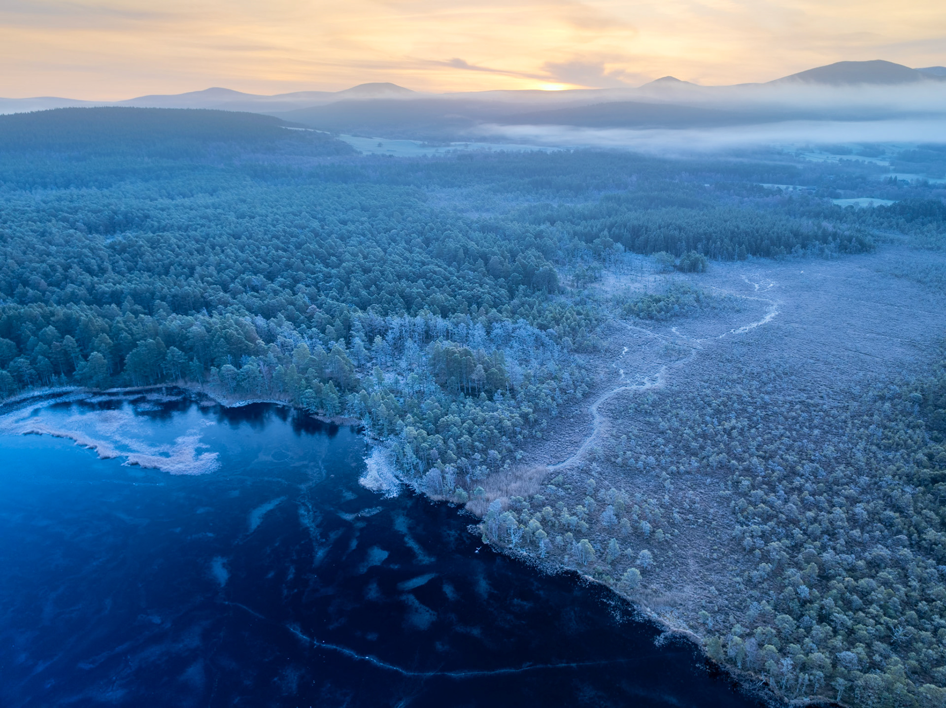 A frozen loch borders hoarfrost-laden Scots pine forest near Nethy Bridge at dawn, with temperature inversion mist pooling across the Strathspey valley below the Cairngorm plateau. The diagonal shoreline pulls the eye from the dark, partially iced water through the silvered canopy toward the warm band of light breaking at the horizon.