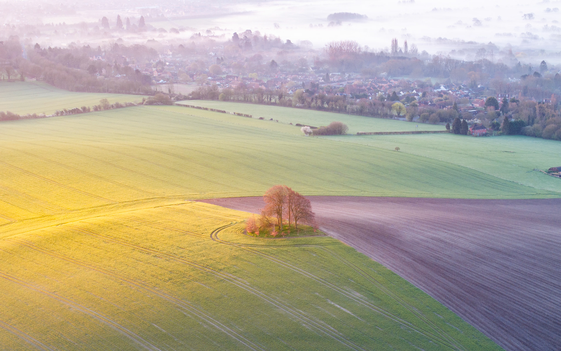 A small copse sits at the intersection of rapeseed, bare soil and winter wheat on the farmland below Brightwell Barrow, near the Wittenham Clumps in Oxfordshire, caught in low spring light with valley mist softening the village beyond. The radiating tractor lines draw the eye to the isolated stand of trees, which divides three distinct land uses in a single frame. Morning fog layers over the settlement and treeline, compressing distance and adding tonal depth to the middle ground.