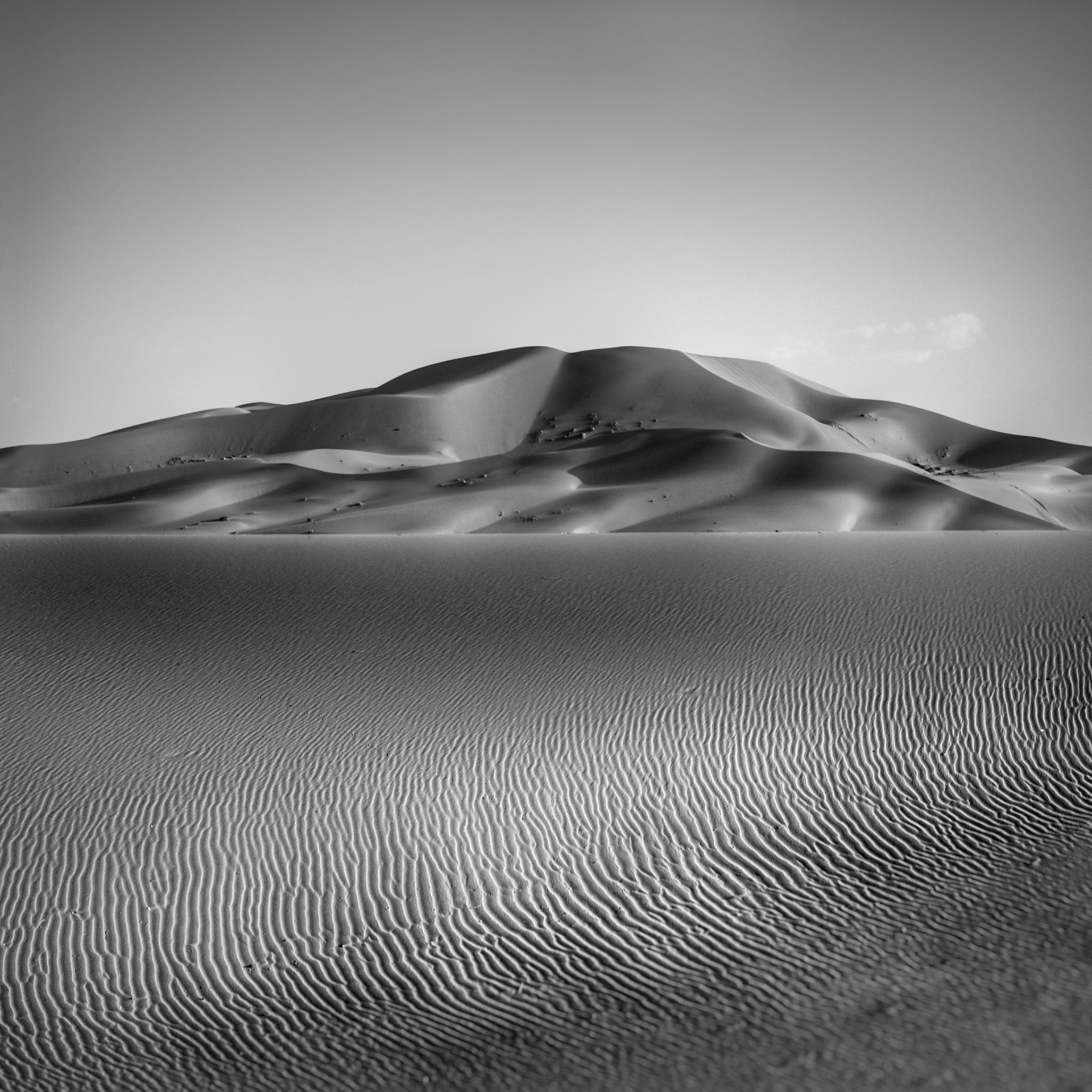 Split Sahara Scene in Black and White, Sahara Desert, Morocco  (Awarded)