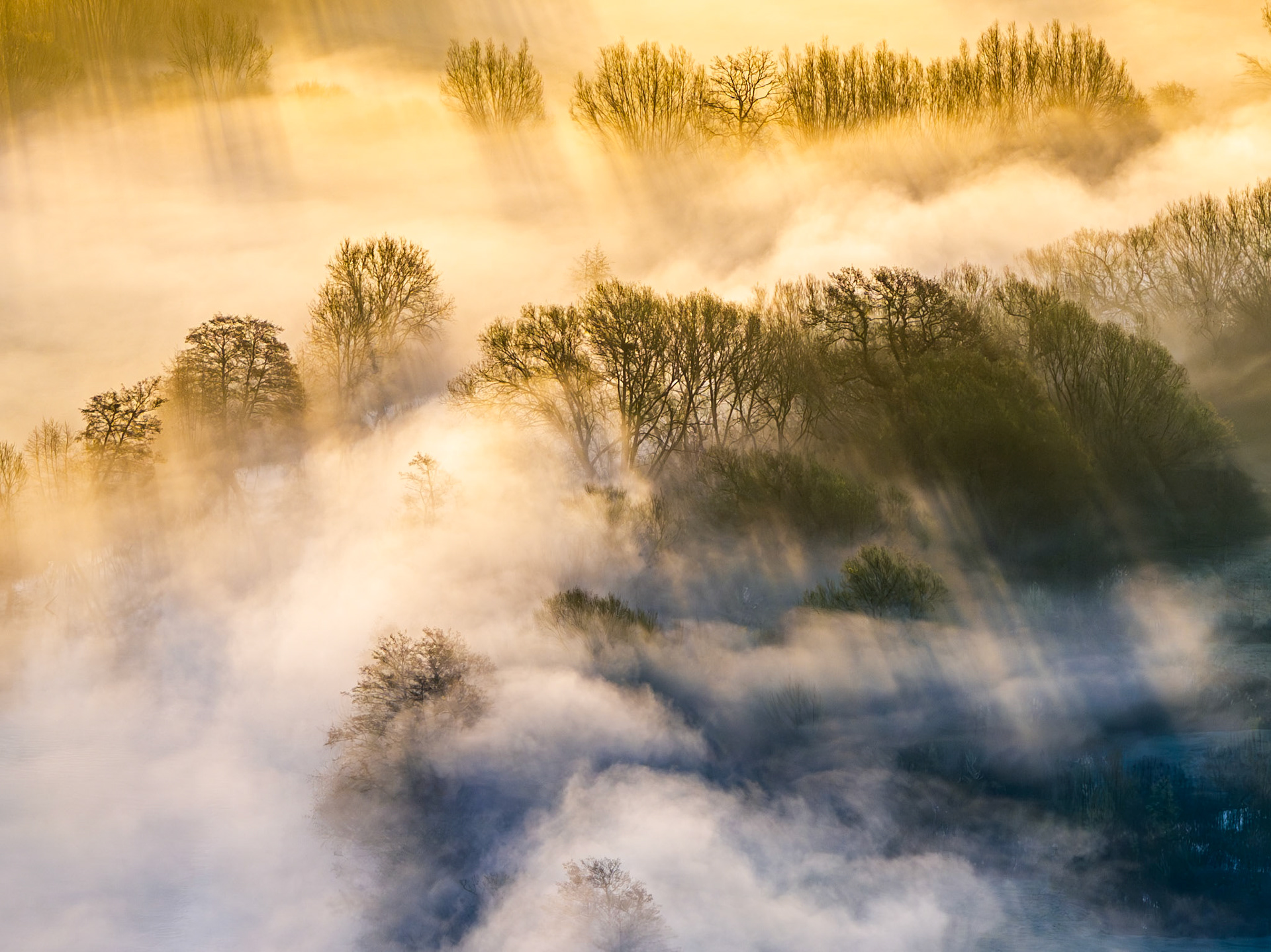 Ground-hugging mist rolls through bare-canopied riparian woodland above the Thames Valley at Wallingford, caught at the moment sunbeams pierce the inversion layer and separate light from shadow across successive tree lines. The aerial perspective dissolves the landscape into layered planes of amber and cold white, reducing woodland to silhouette and vapour to form. Captured at the spring equinox, when overnight cold and morning warmth conspire to produce conditions of this density and movement.