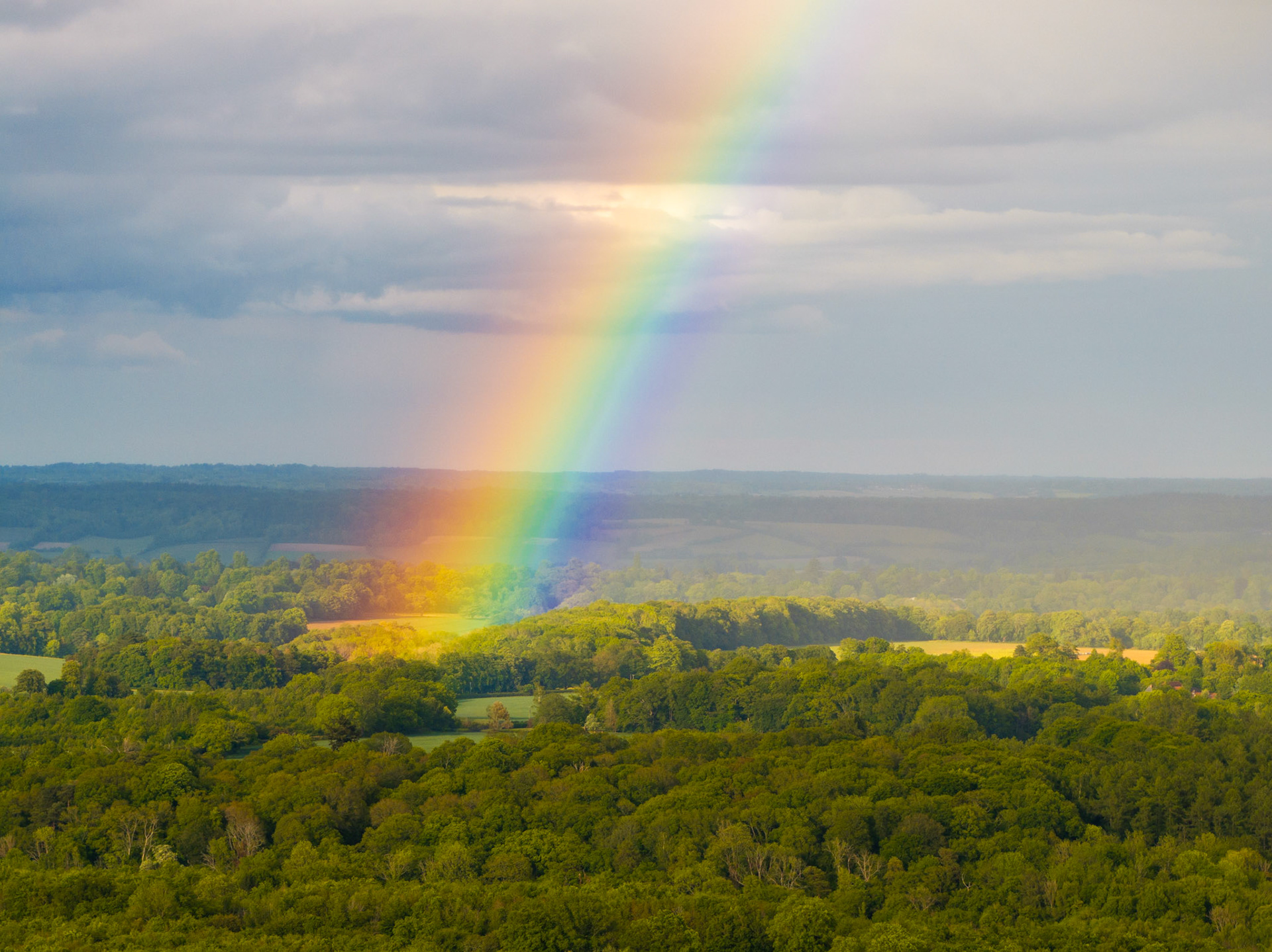 A vivid primary rainbow descends into dense mixed woodland above the Thames Valley, viewed from elevation on an unsettled May afternoon. Rain still falls visibly at mid-distance while low sun catches the canopy, creating a sharp tonal divide between lit and shadowed tree cover. The elevated vantage compresses the rolling patchwork of fields and woodland into a single plane beneath the arc.