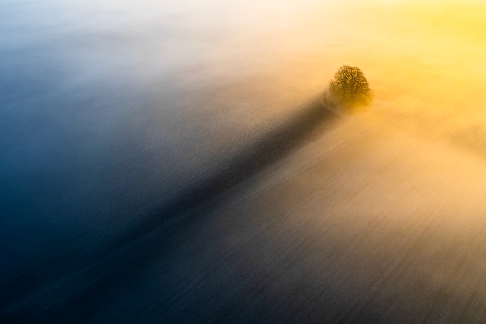 The Long Shadow captured by Christopher Harrison. This drone photograph shows a small group of trees in spring casting a long shadow into the mist during a beautiful sunrise.