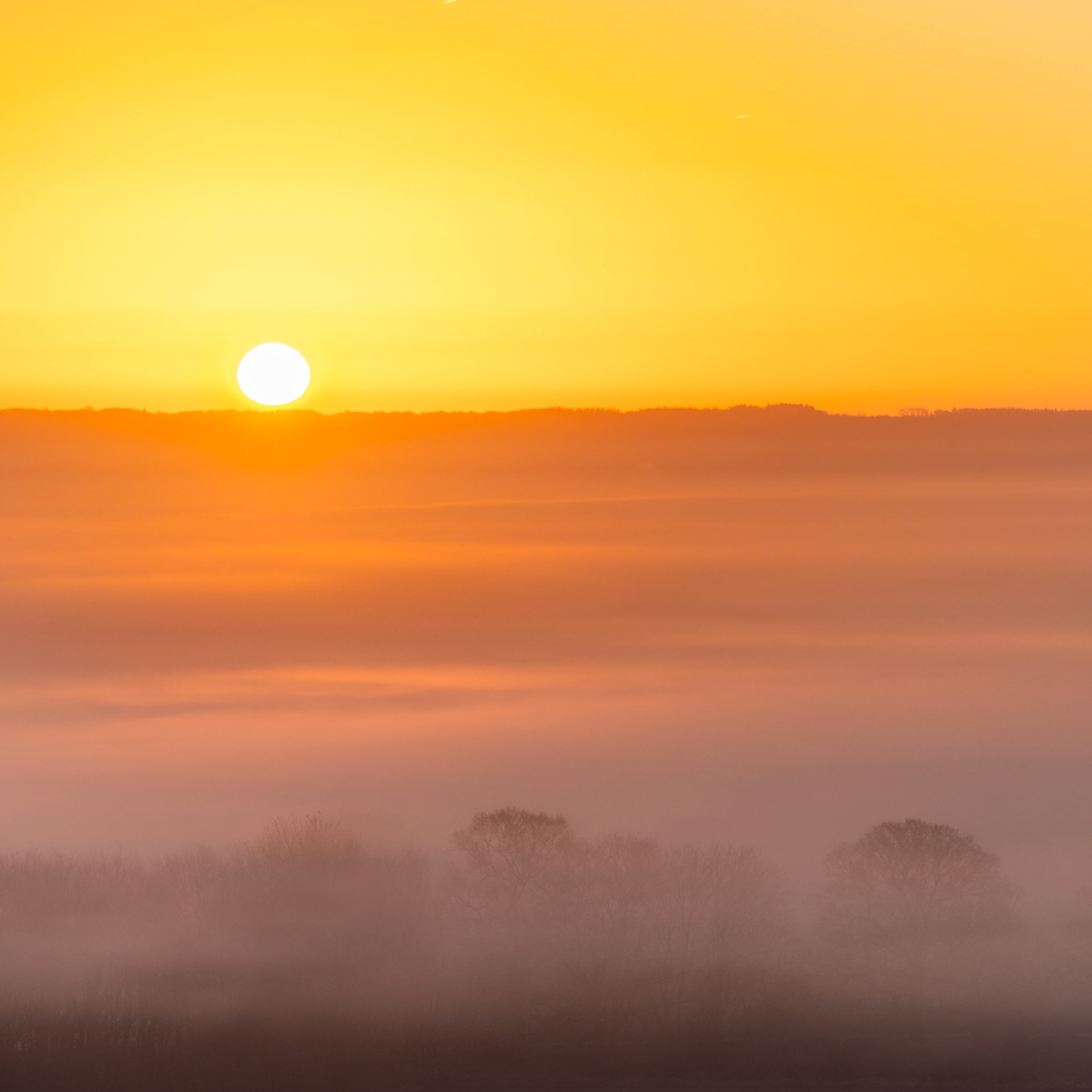 A temperature inversion fills a lowland valley with fog at first light, the sun just clearing a distant treeline silhouette. Trees emerge as dark islands through successive layers of mist, giving the scene its only structural depth. Captured in early March, the bare canopy confirms the landscape is not yet in leaf.