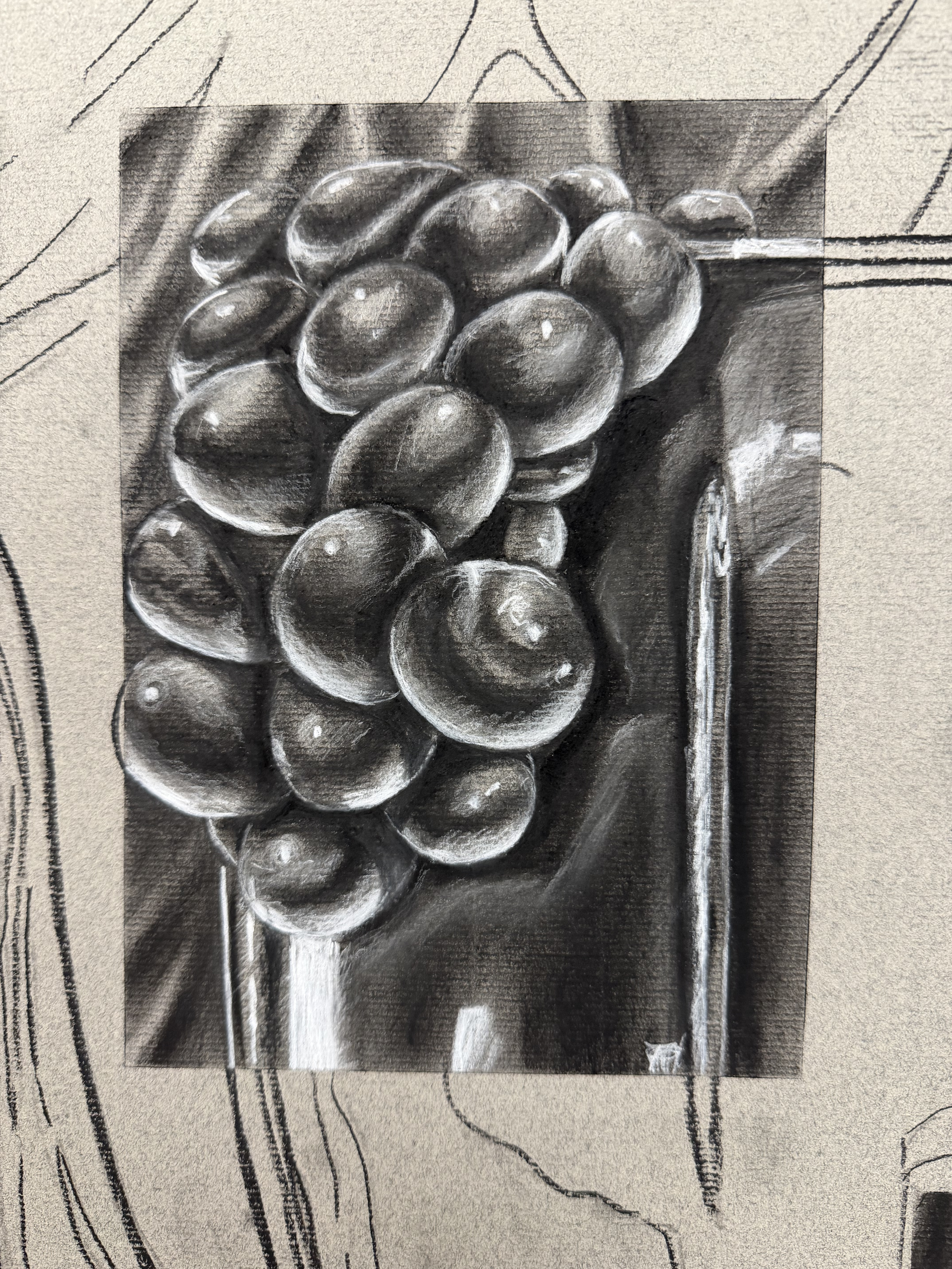 Charcoal - Still Life, up close
