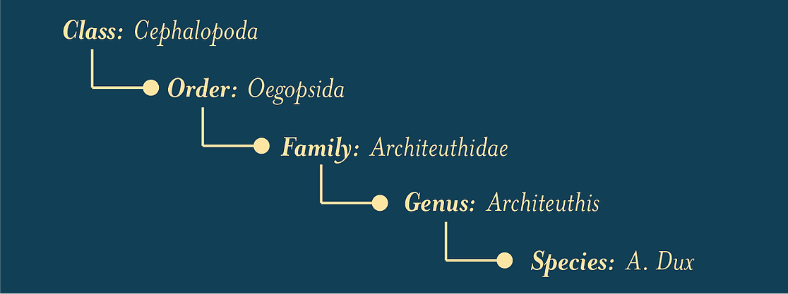 Initial version
