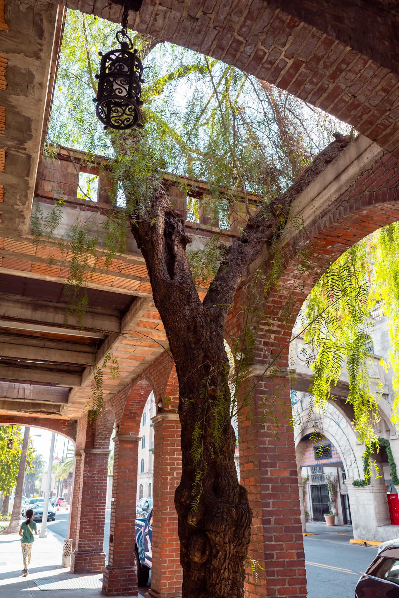Mission Inn, 21