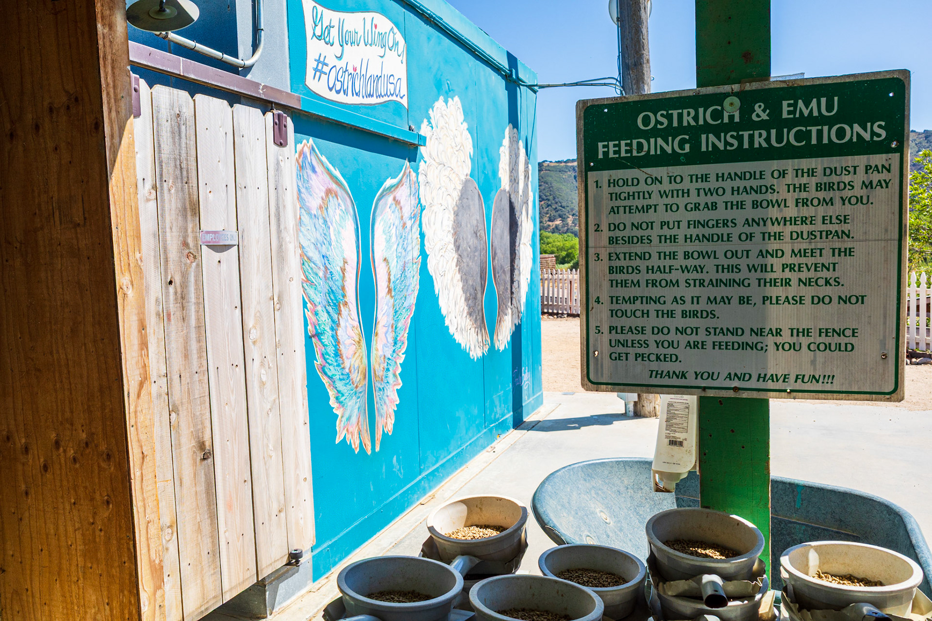 Ostrichland USA