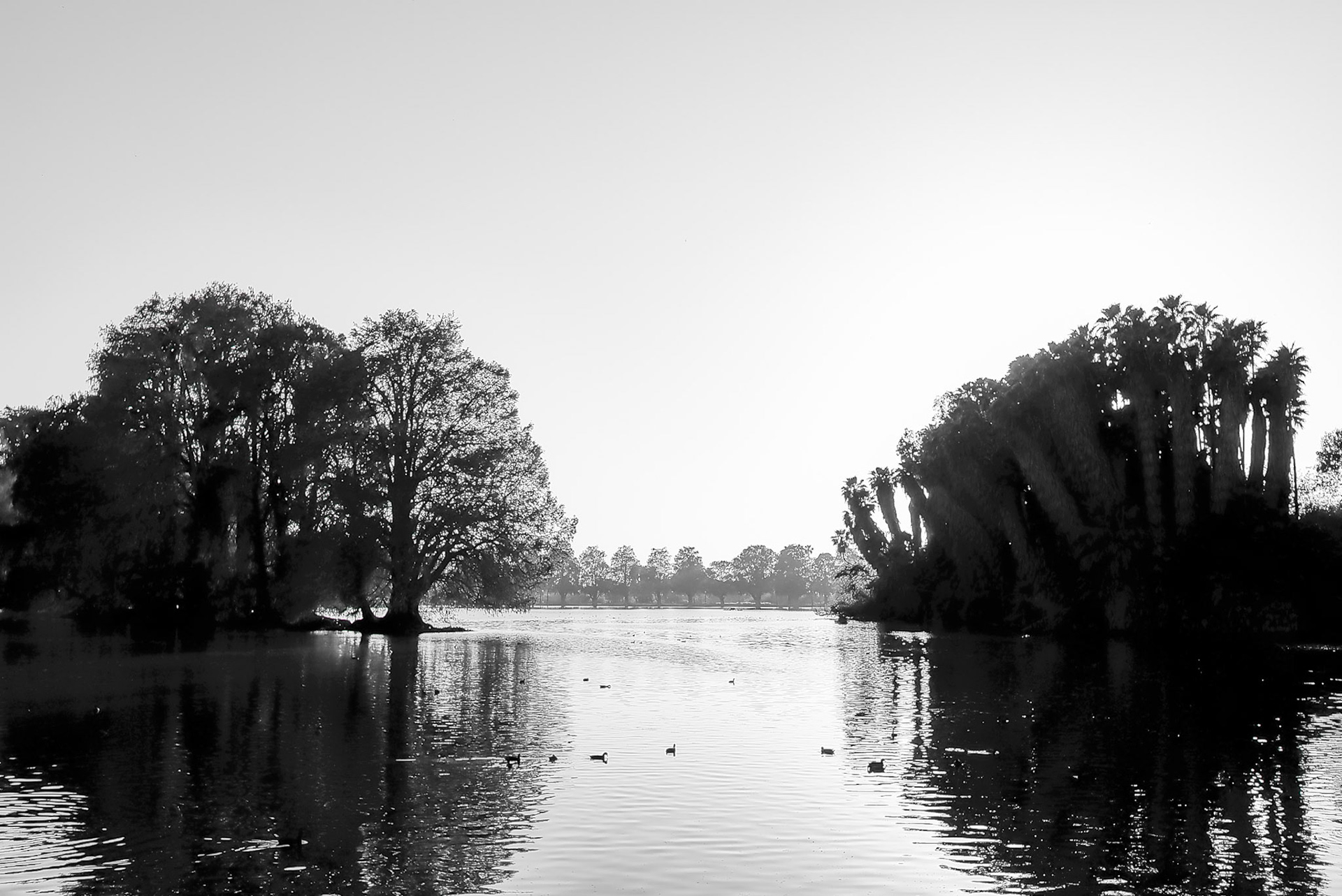 Lake Evans, 15