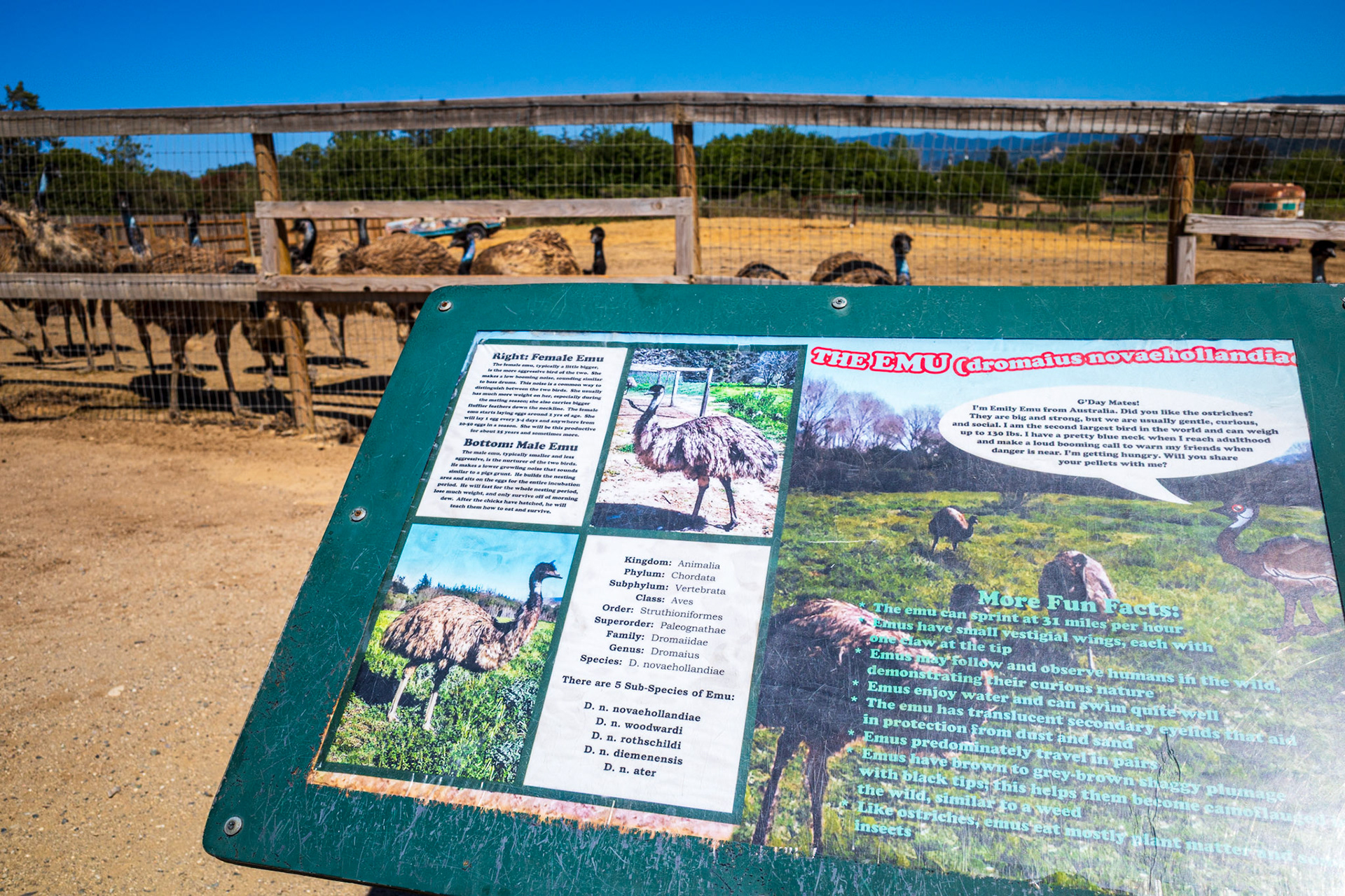 Ostrichland USA