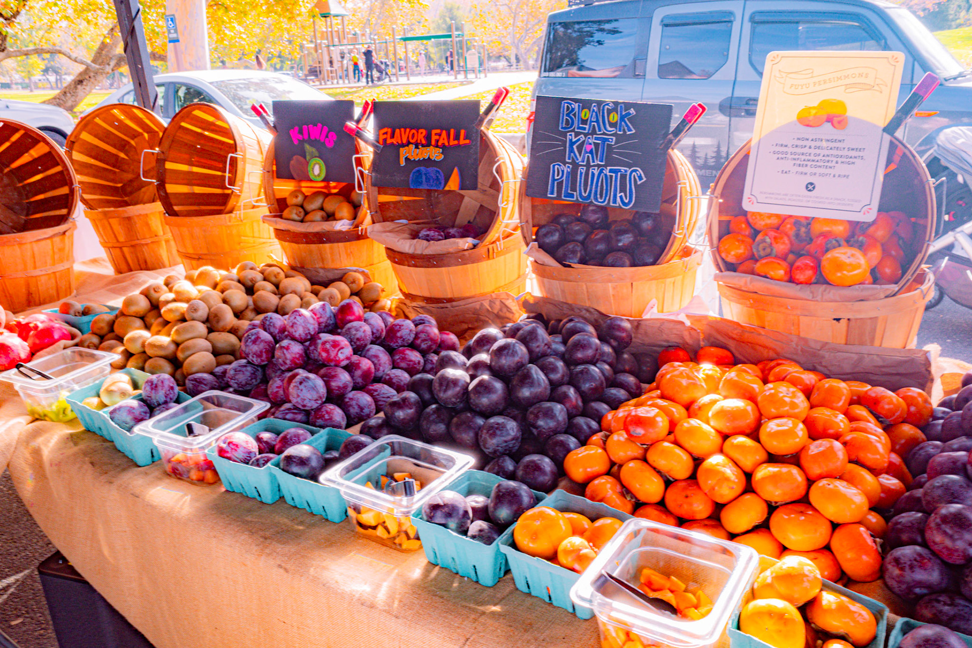Farmers Market