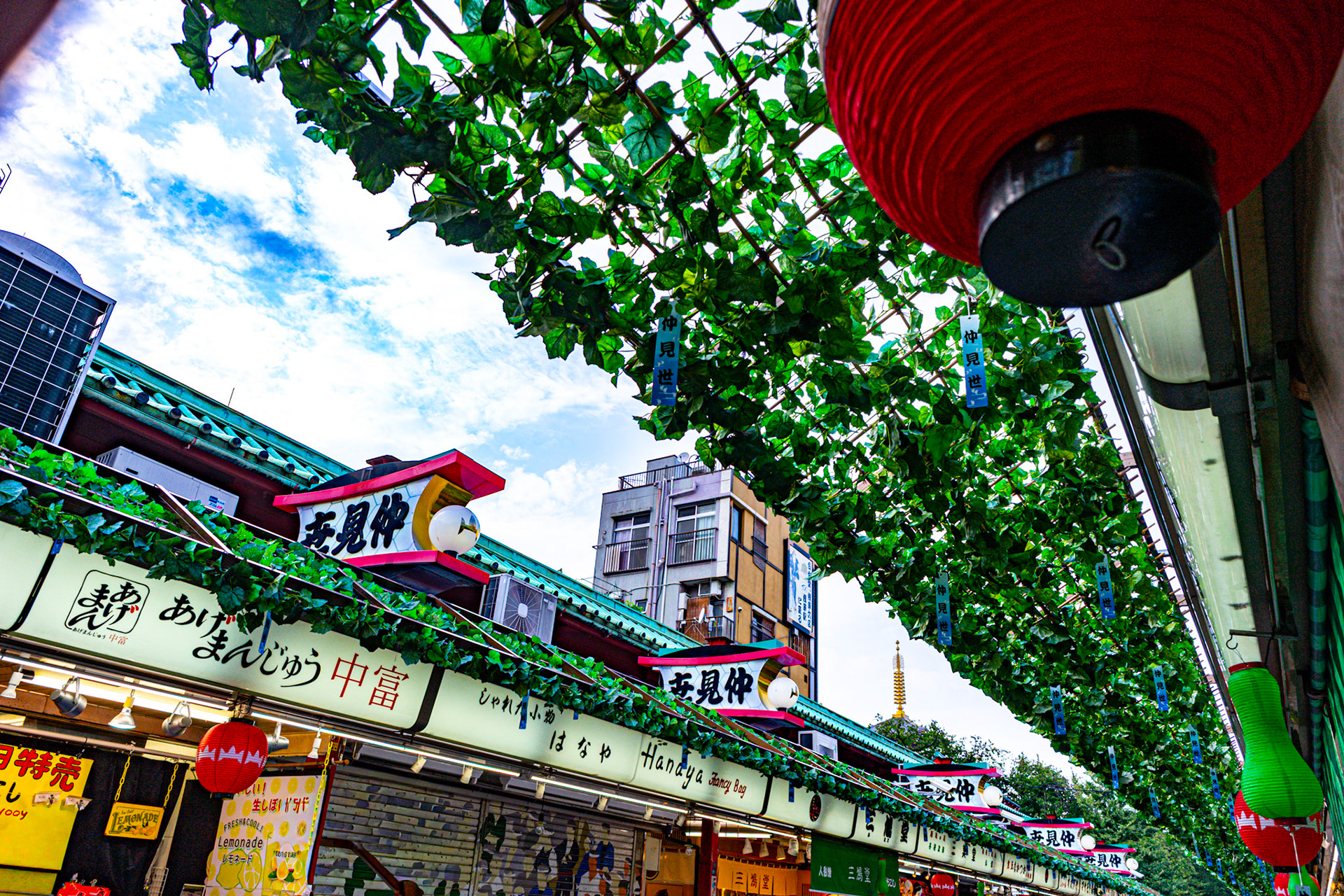 Nakamise Shopping Street