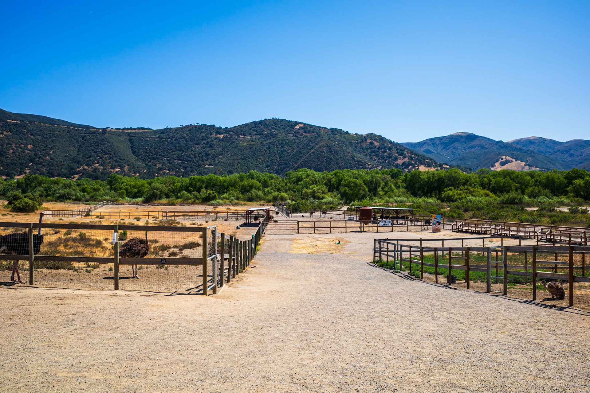 Ostrichland USA