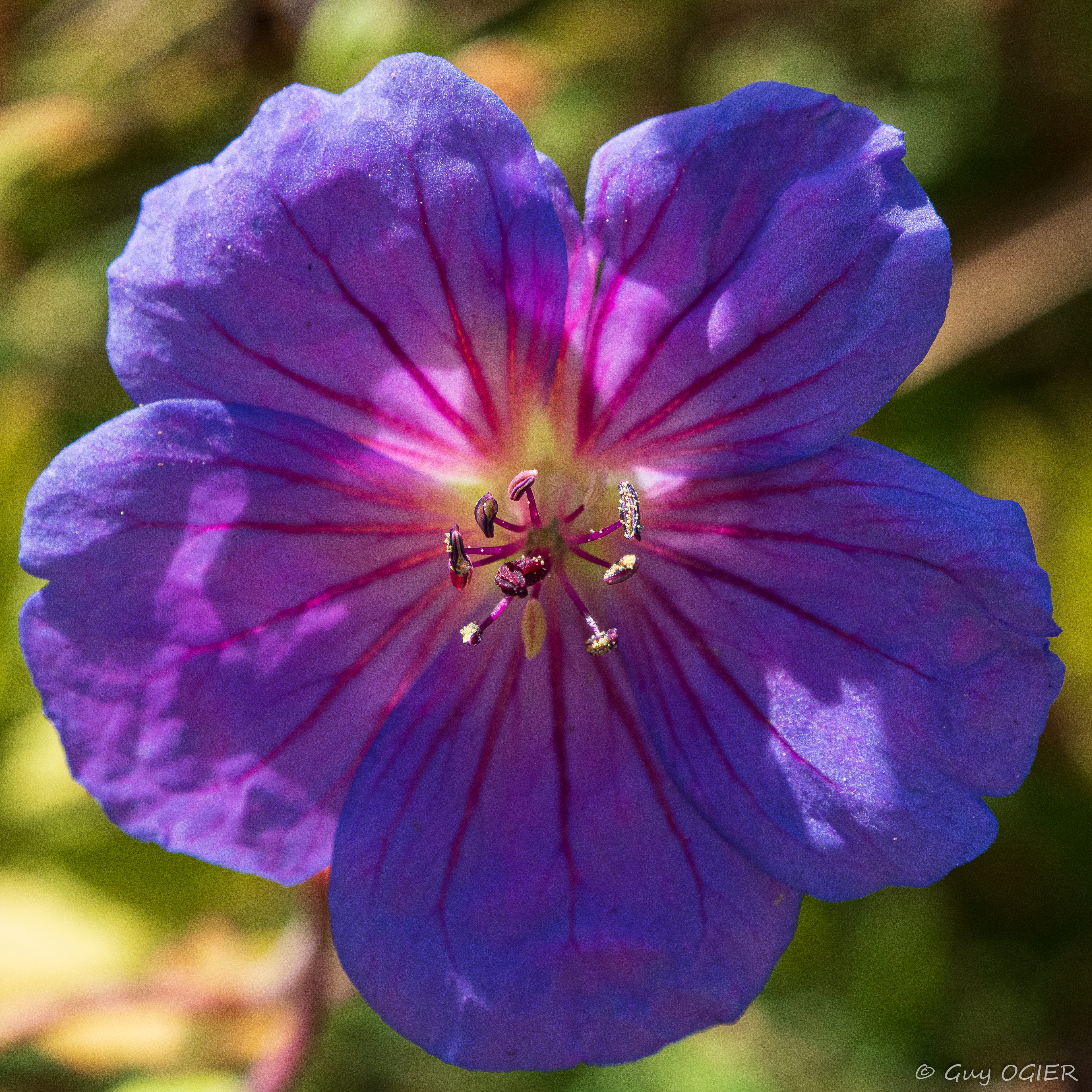 lumière intérieure
