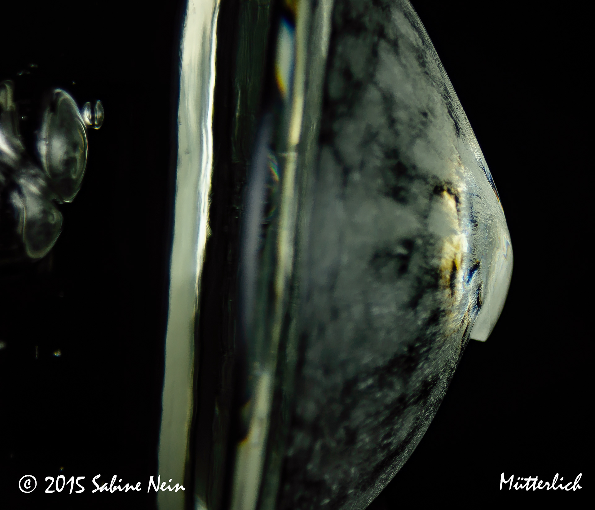 " Mütterlich " 2015 ( detail )