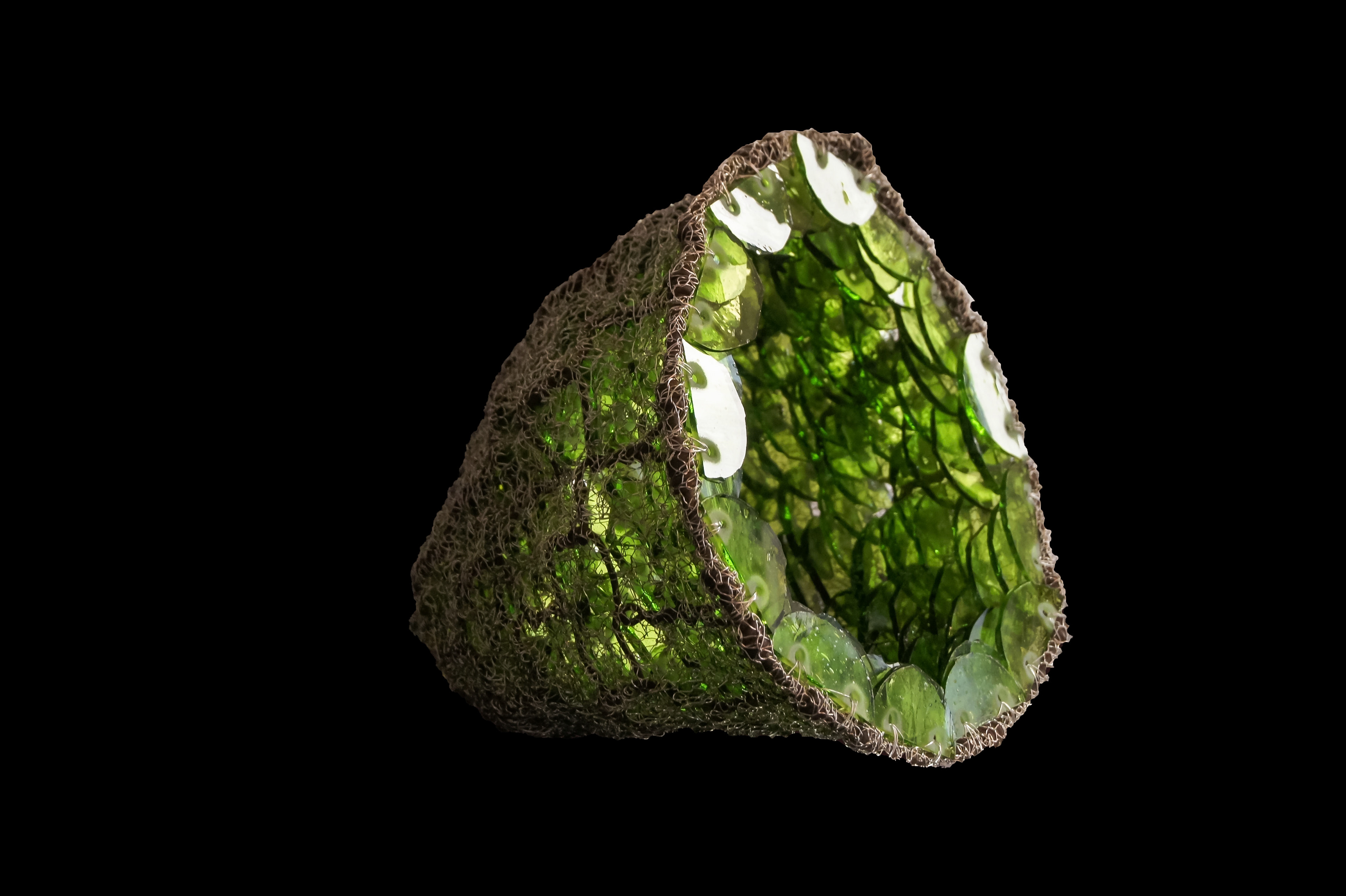 Auftragsarbeit Dr. Soldan 2017