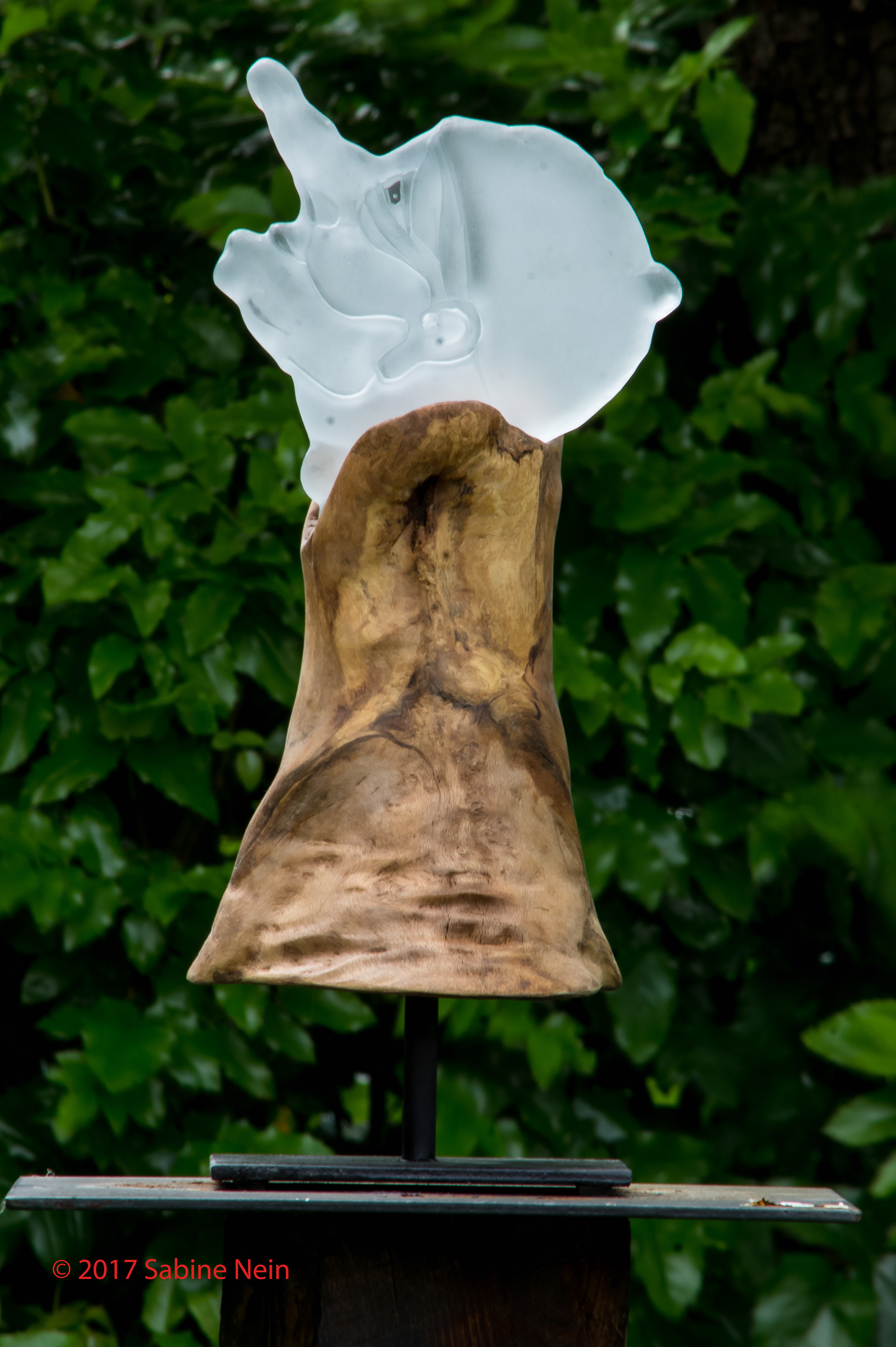 Fake News ( Pinocchio) 2017 